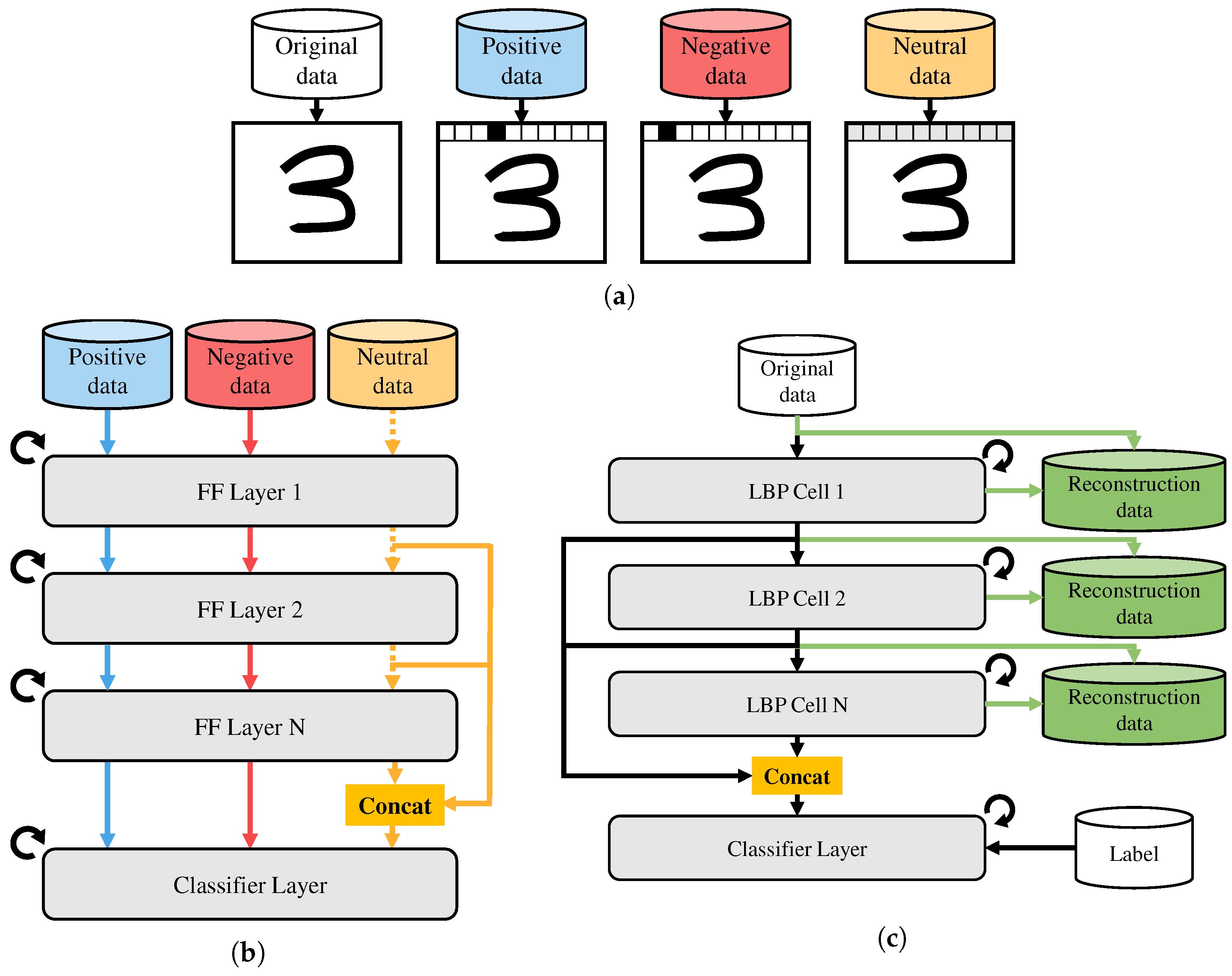 Applsci 15 08207 g001