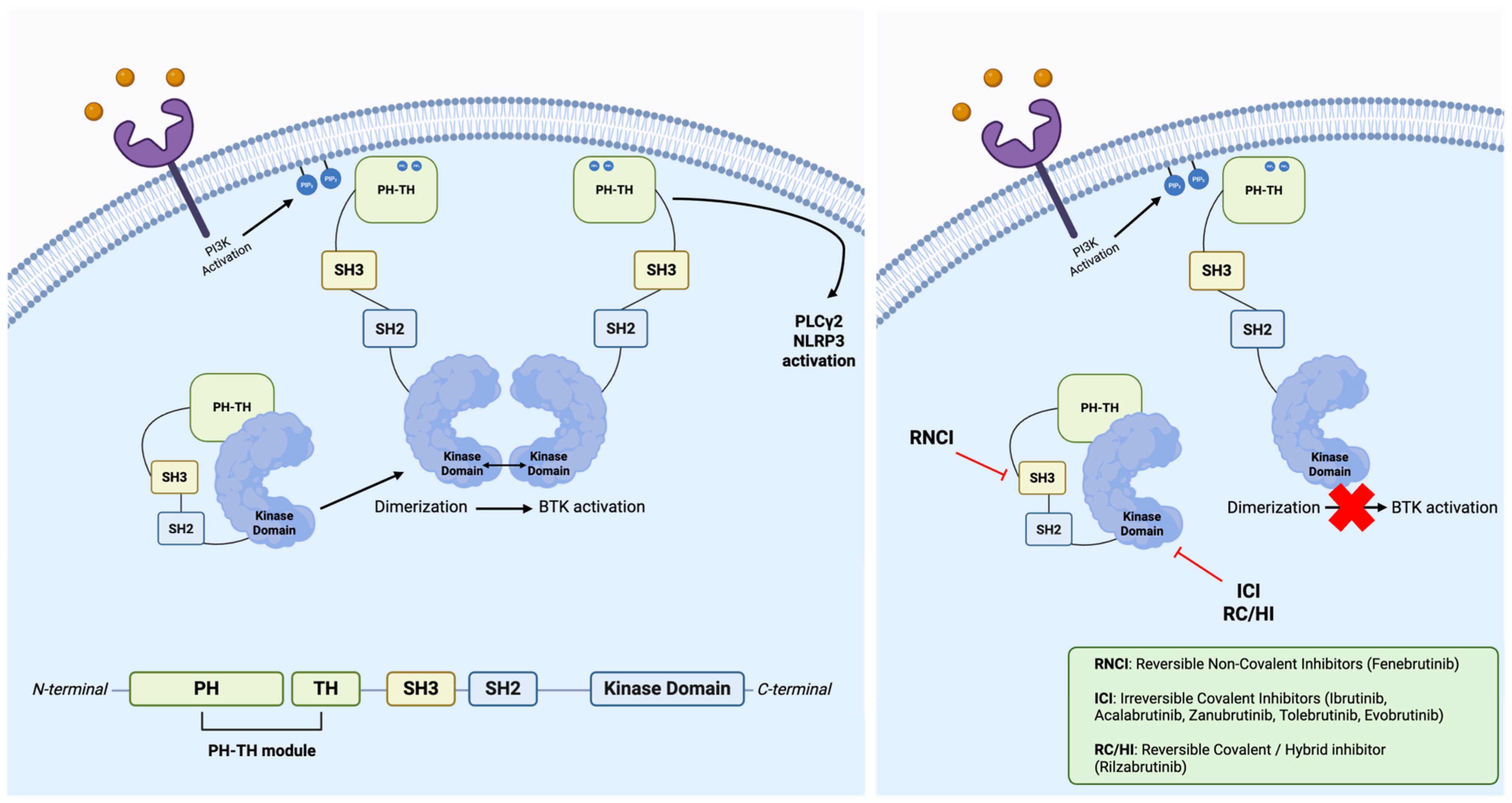 Applsci 15 08239 g002