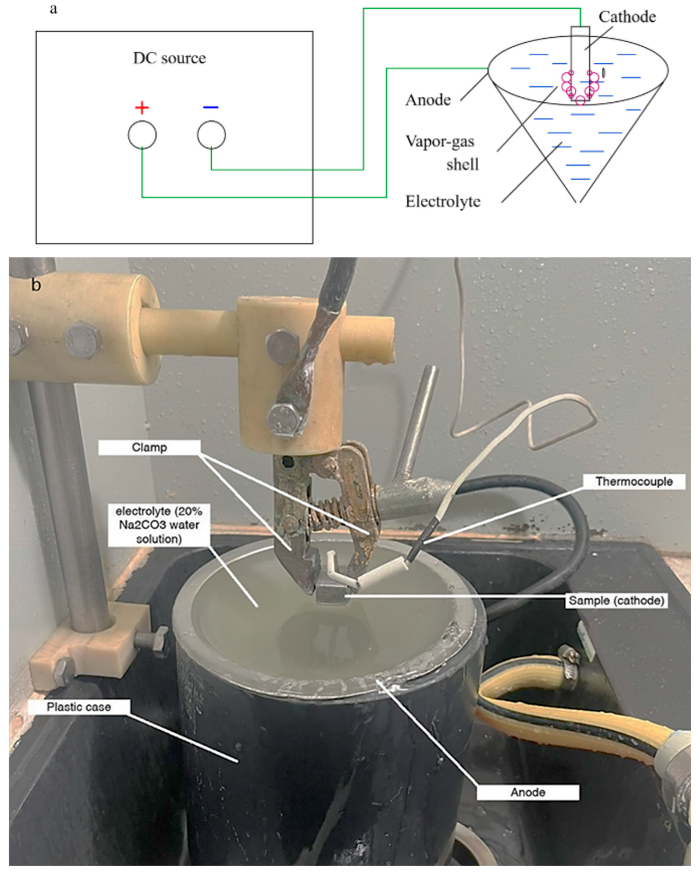 Applsci 15 08288 g001