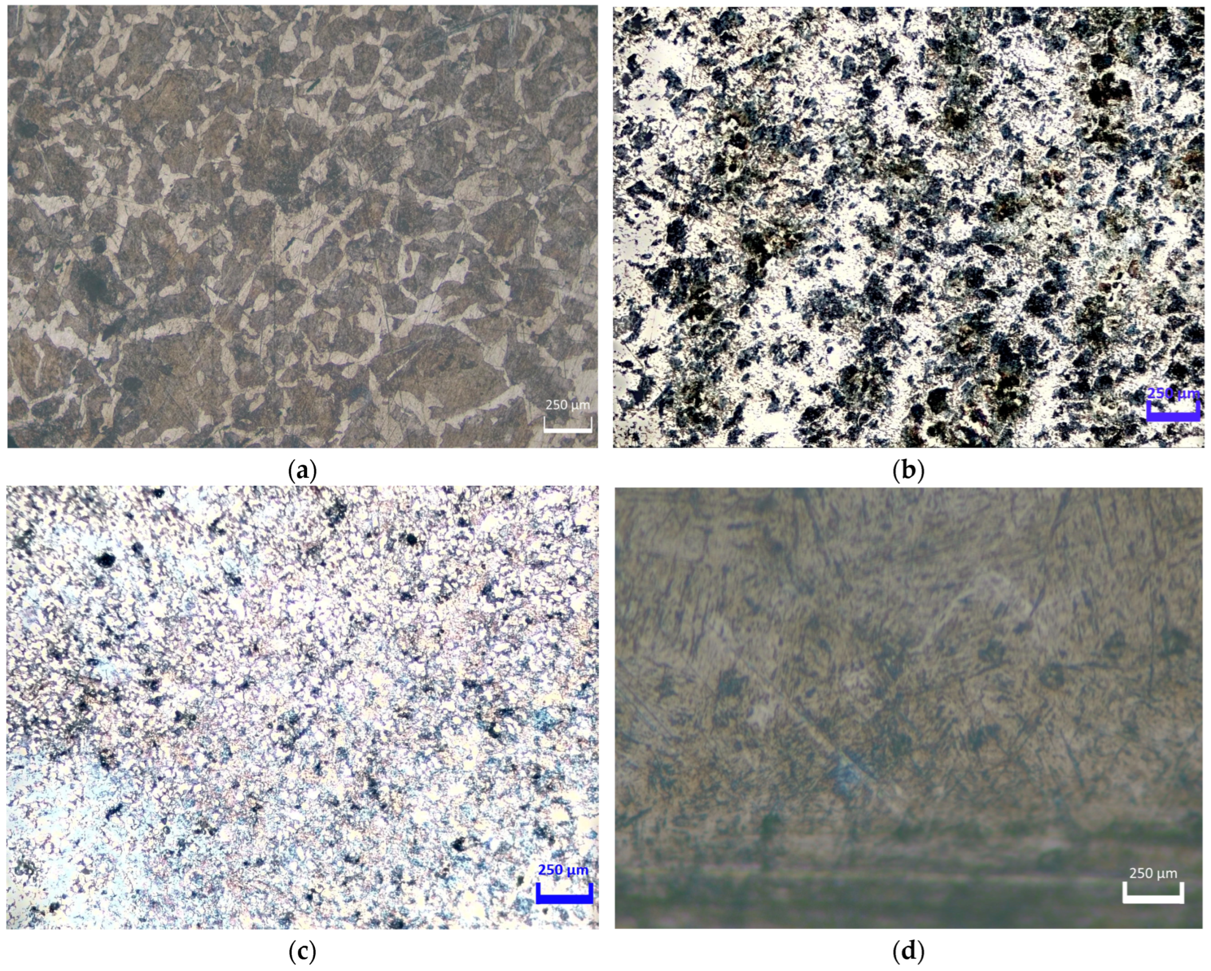 Applsci 15 08288 g011