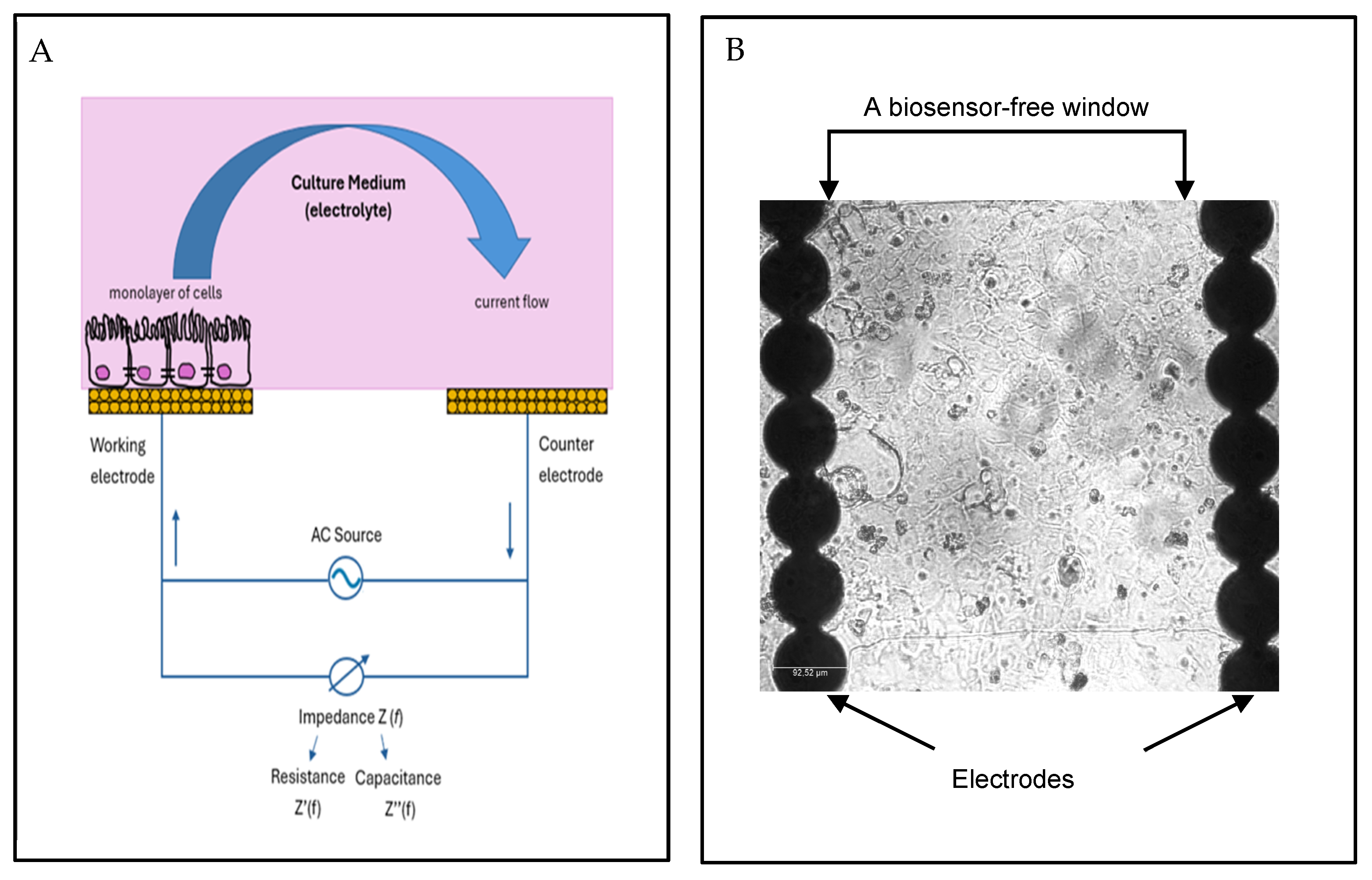 Applsci 15 08298 g001
