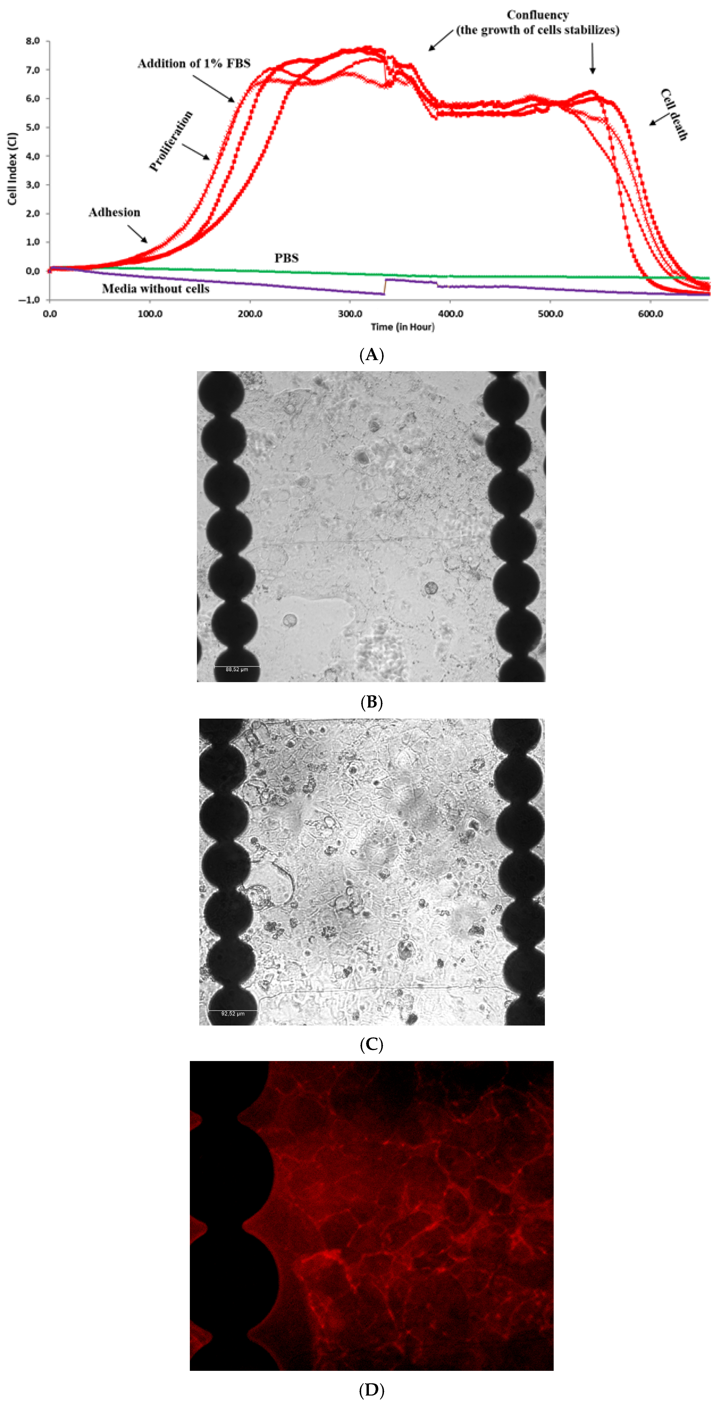 Applsci 15 08298 g005