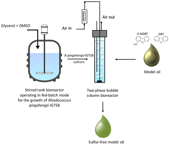 86 -エイティシックス- 15巻セット Association of autoantibodies targeting endothelin type-A