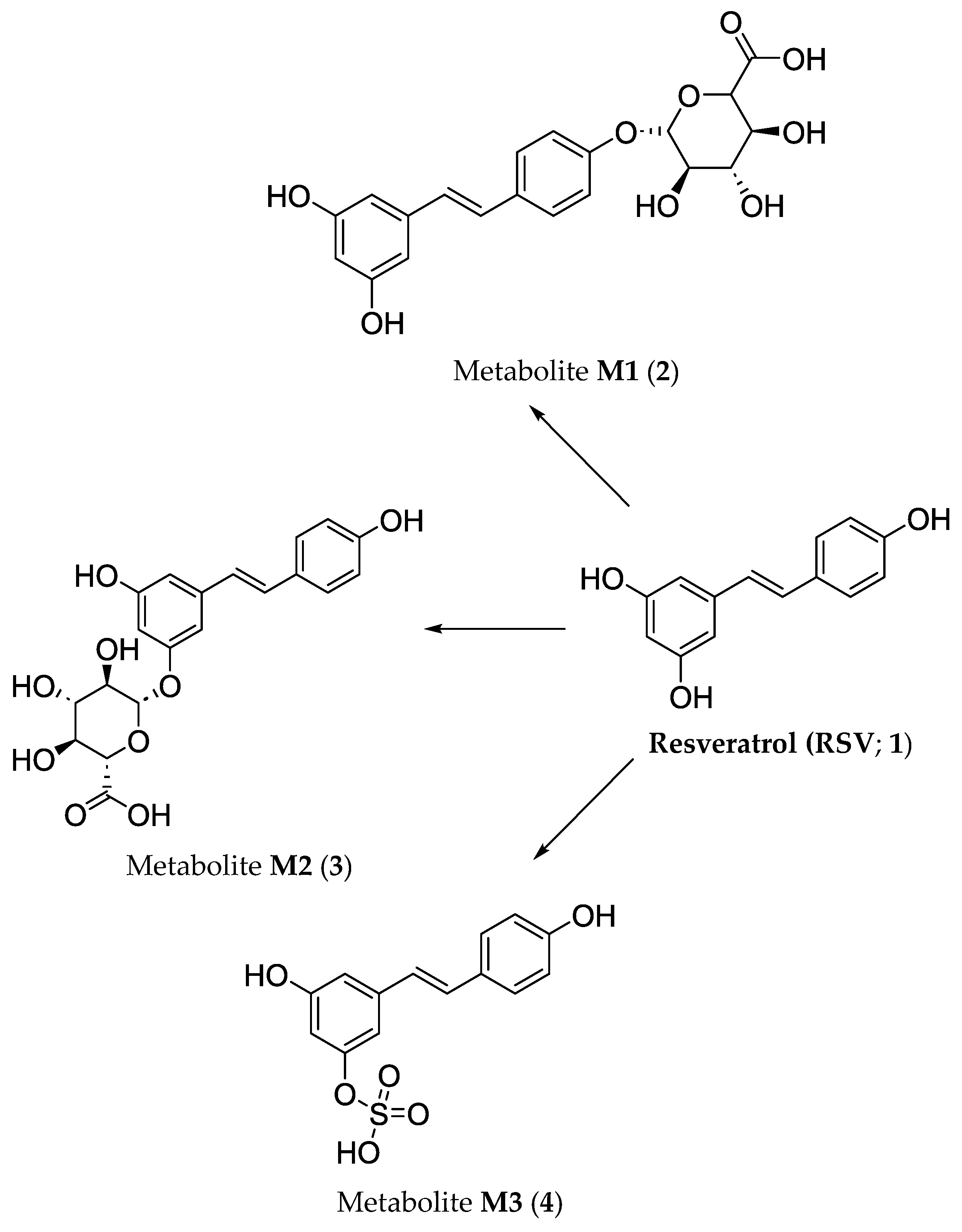 Applsci 15 08350 g002