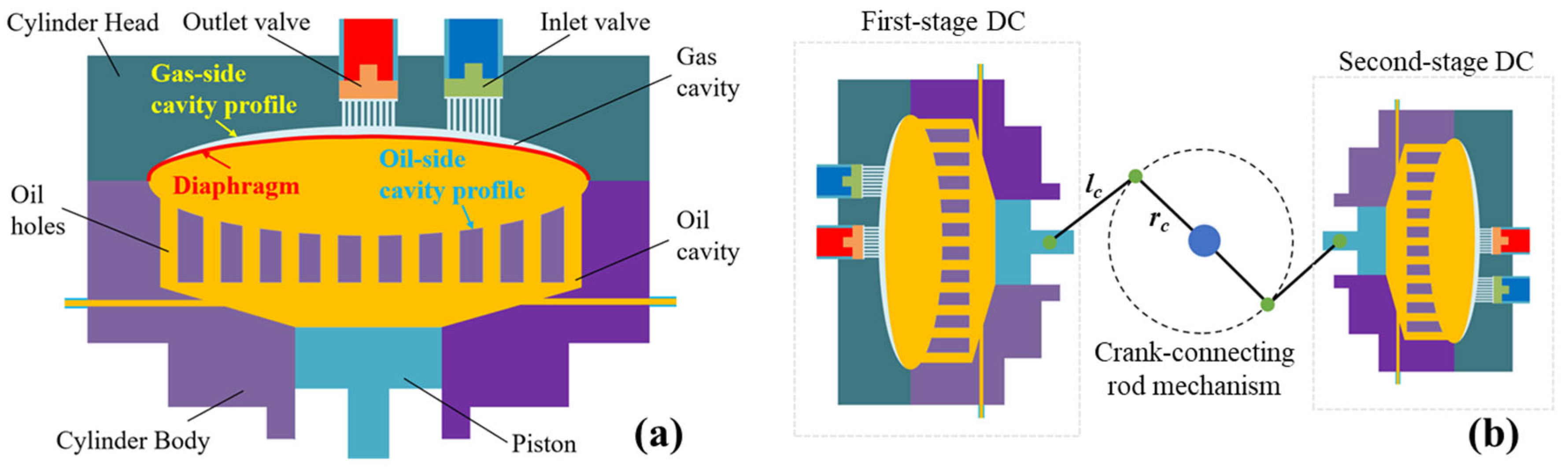Research on the Diaphragm Movement Characteristics and Cavity