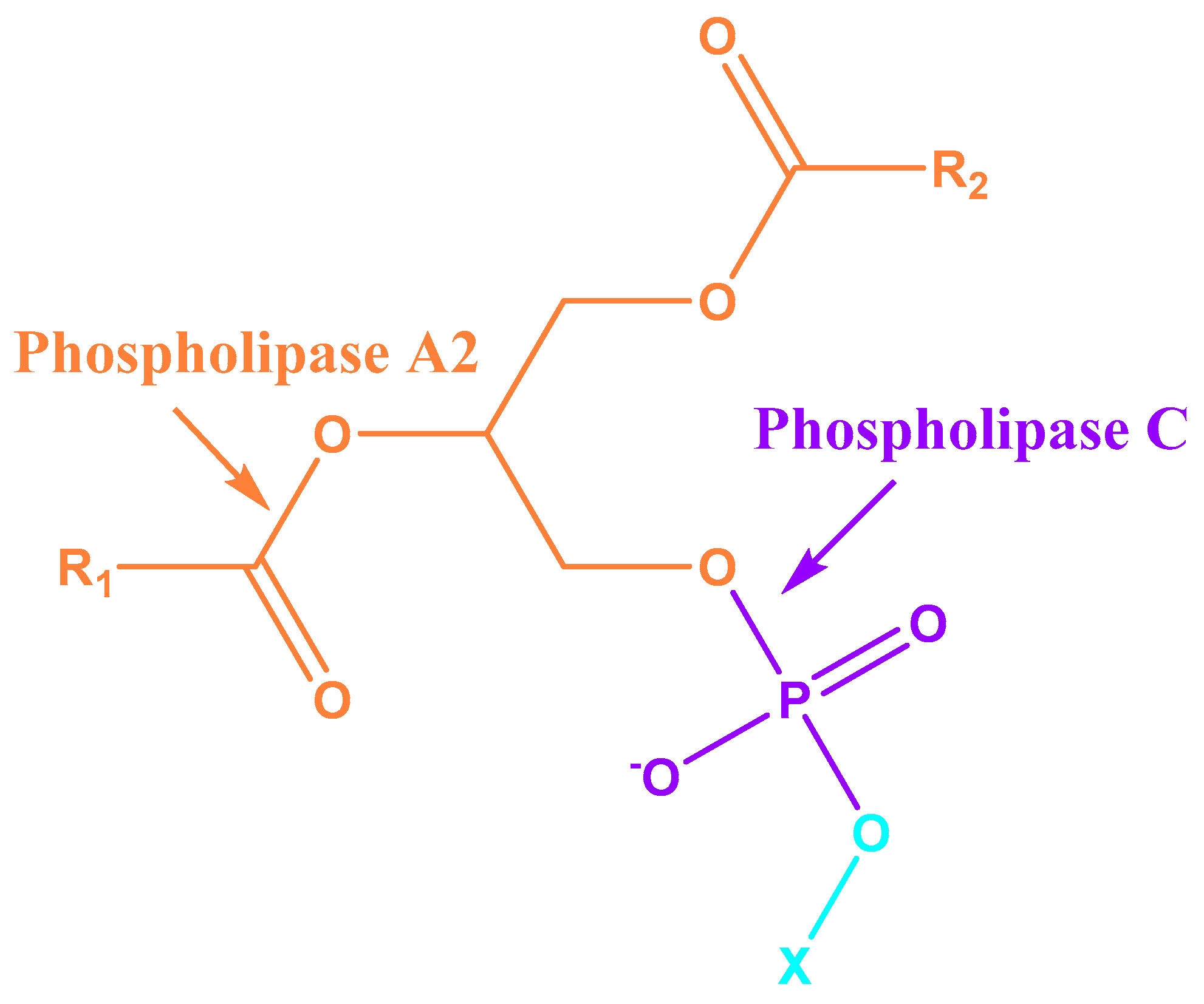 Applsci 15 08371 g002