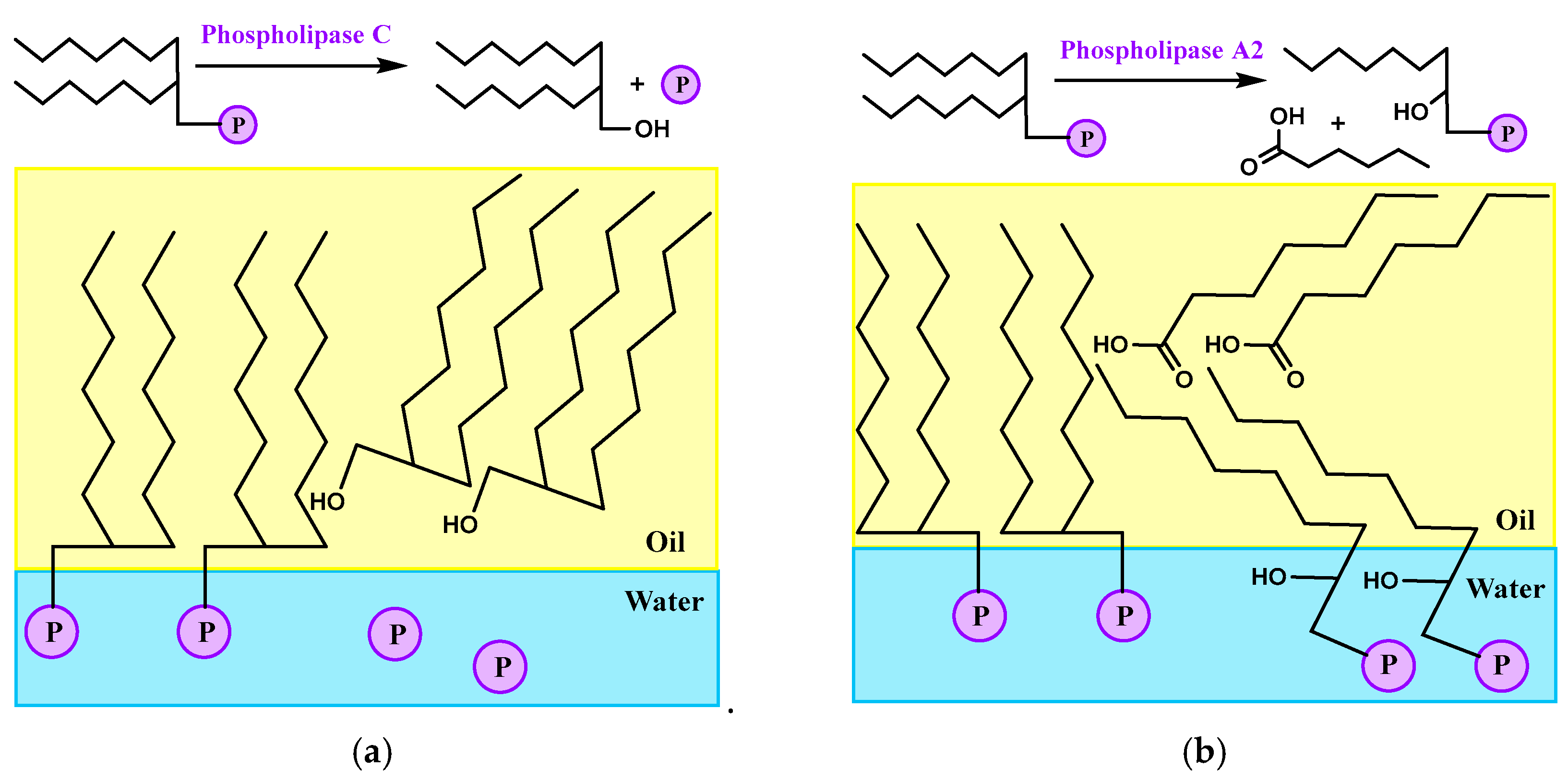 Applsci 15 08371 g003