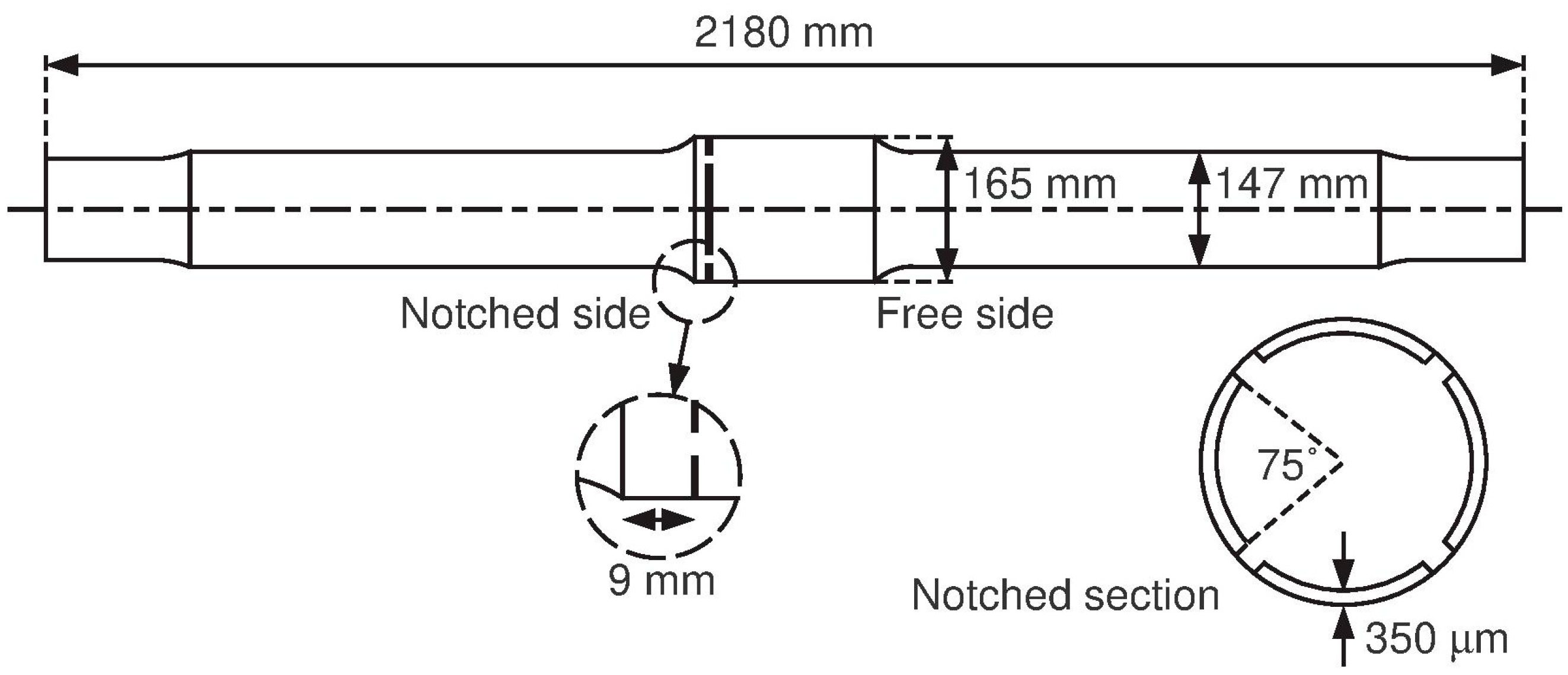 Applsci 15 08435 g001