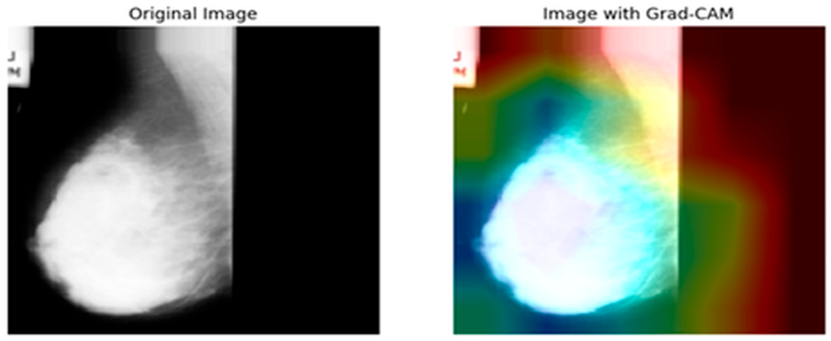Applsci 15 08448 g018