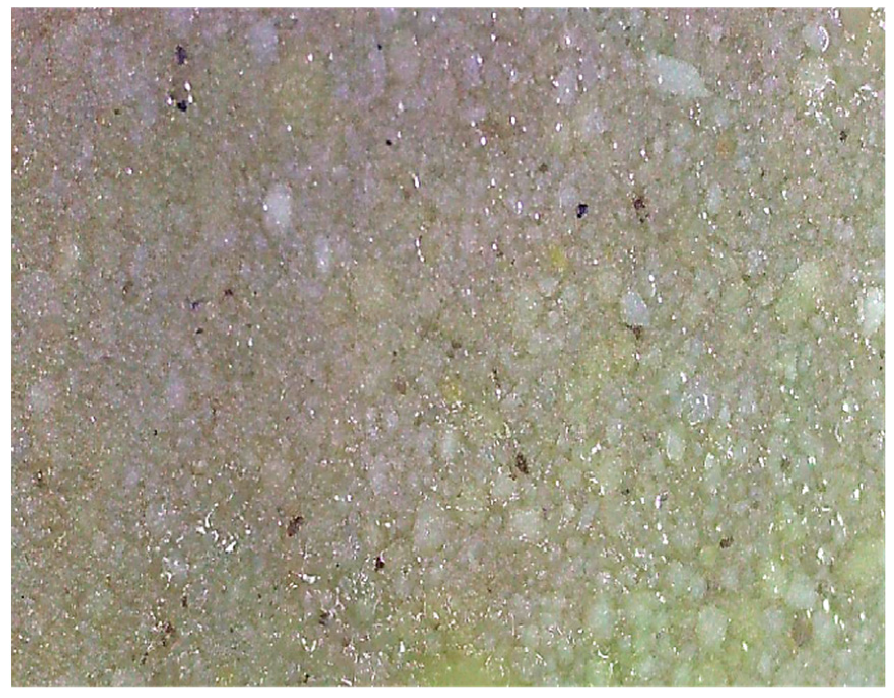 Applsci 15 08498 g011