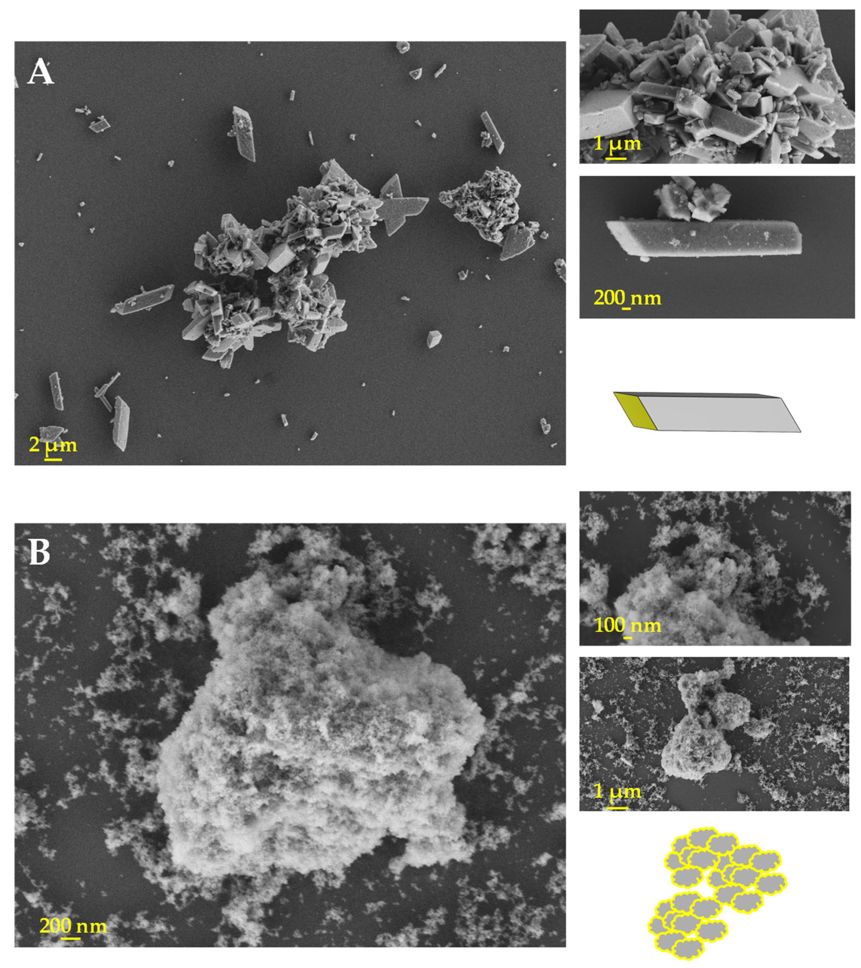 Applsci 15 08594 g003