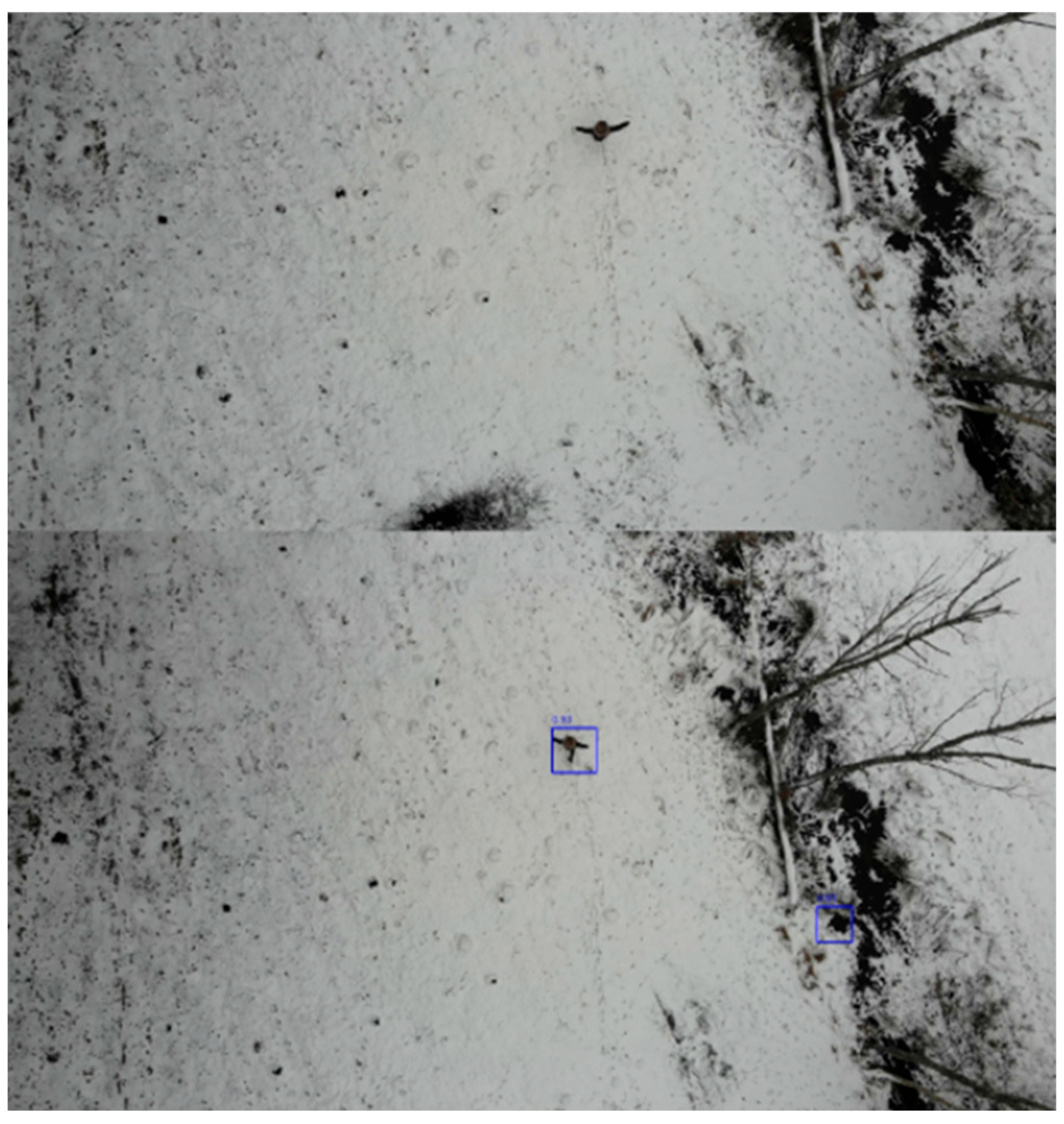 Applsci 15 08608 g009