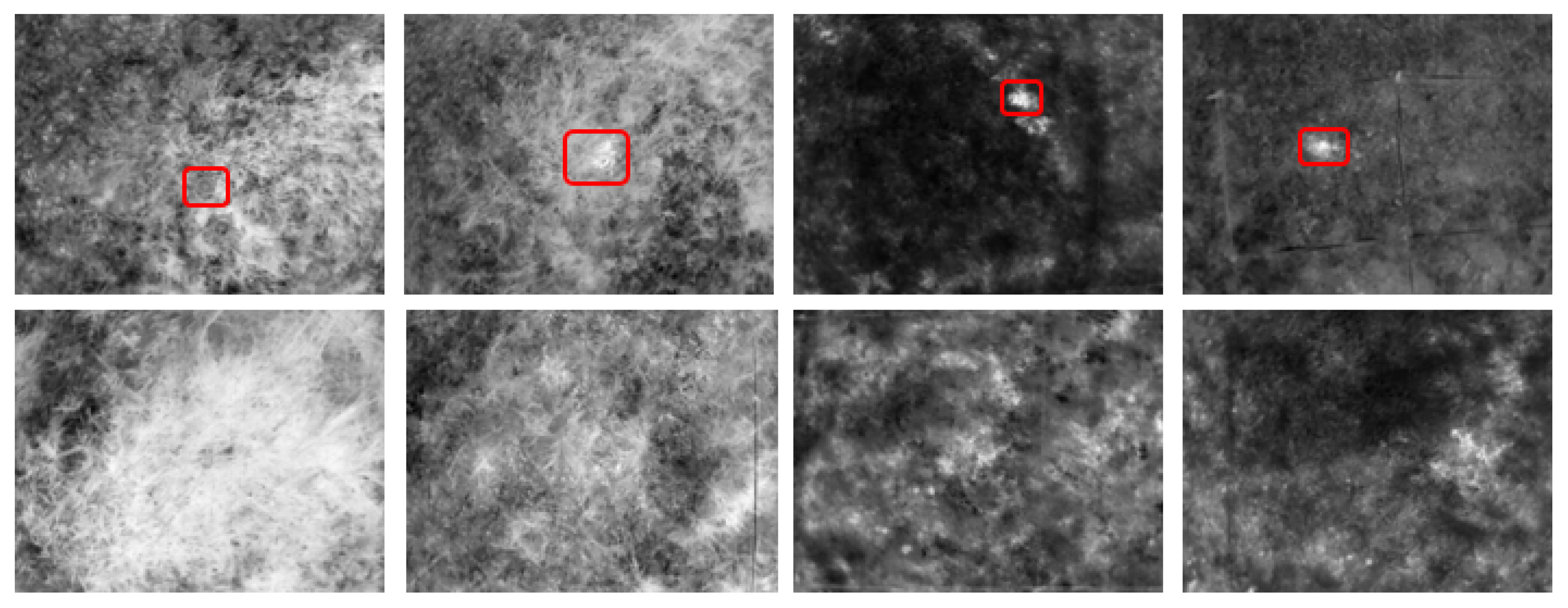 Applsci 15 08613 g001