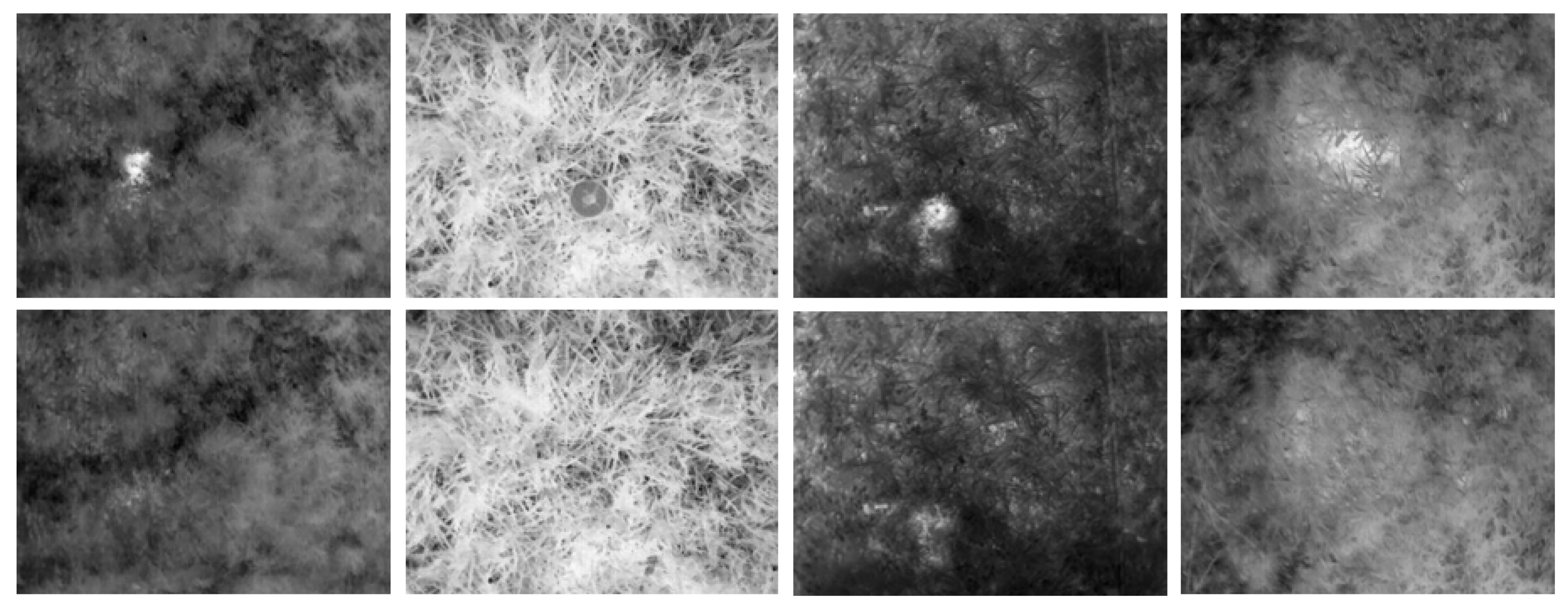 Applsci 15 08613 g005