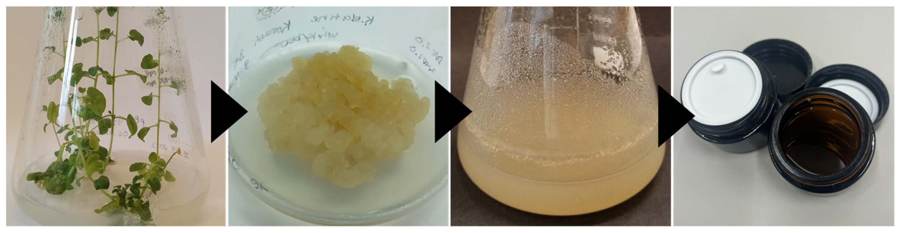 Applsci 15 08625 g001 Applsci 15 08625 g001