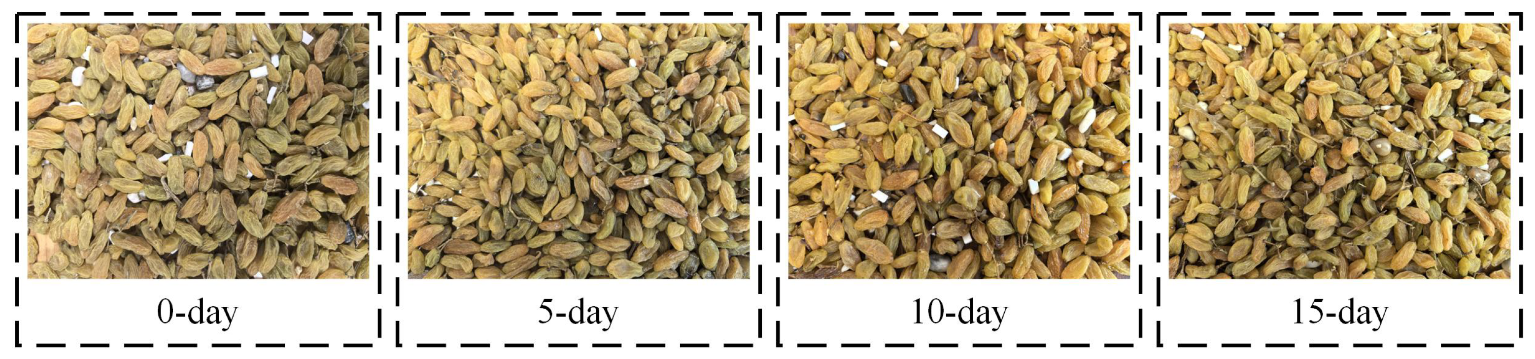 Applsci 15 08695 g003