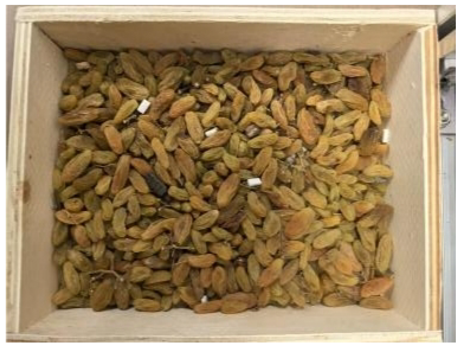 Applsci 15 08695 g031