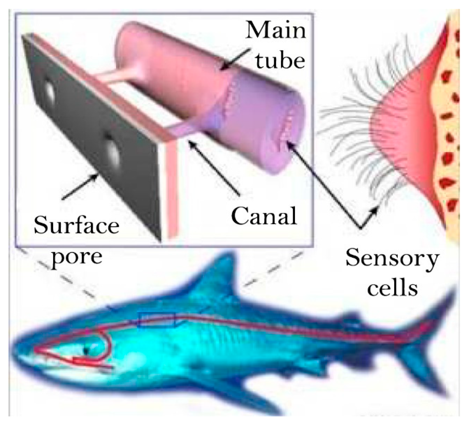 Applsci 15 08710 g001