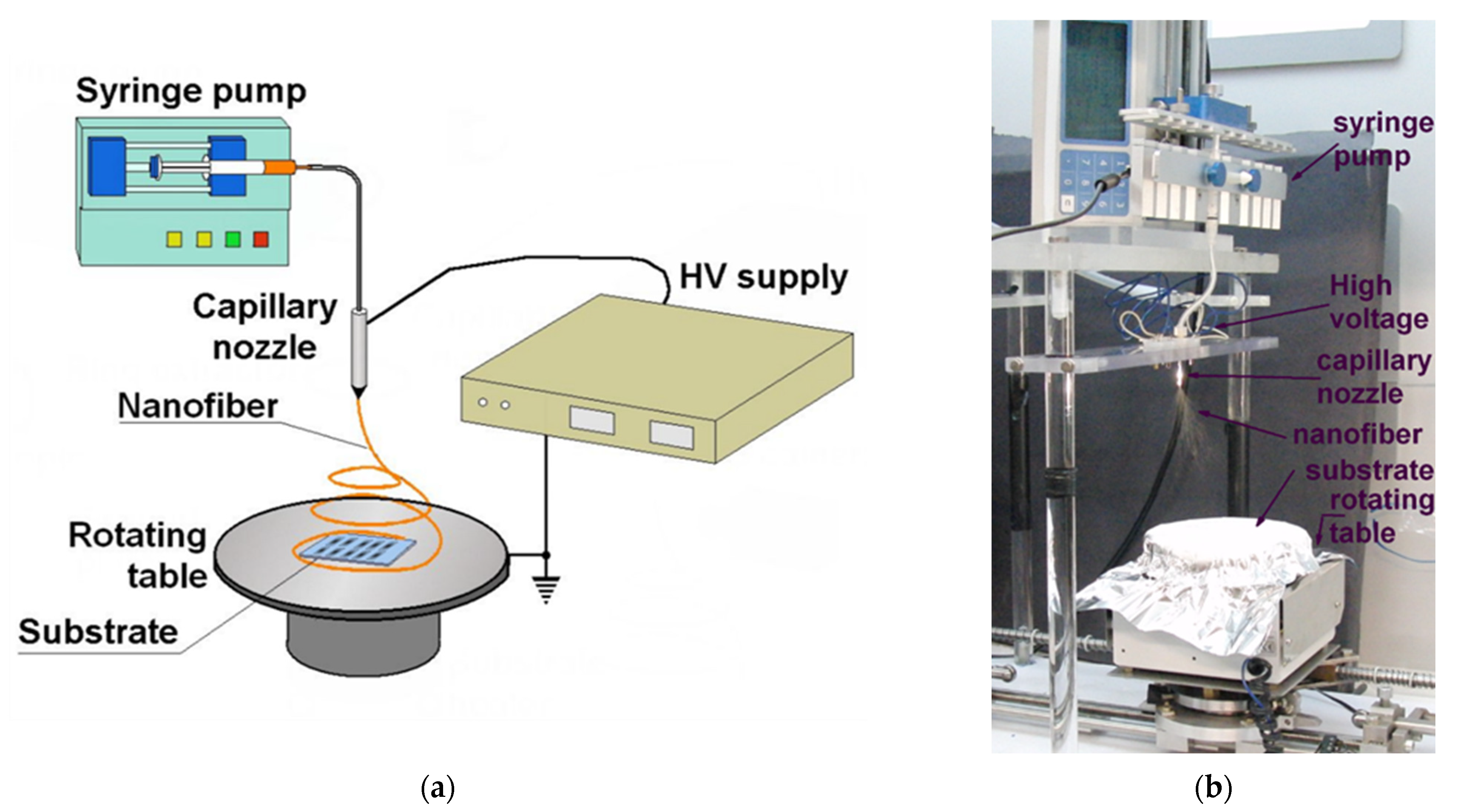 Applsci 15 08728 g001