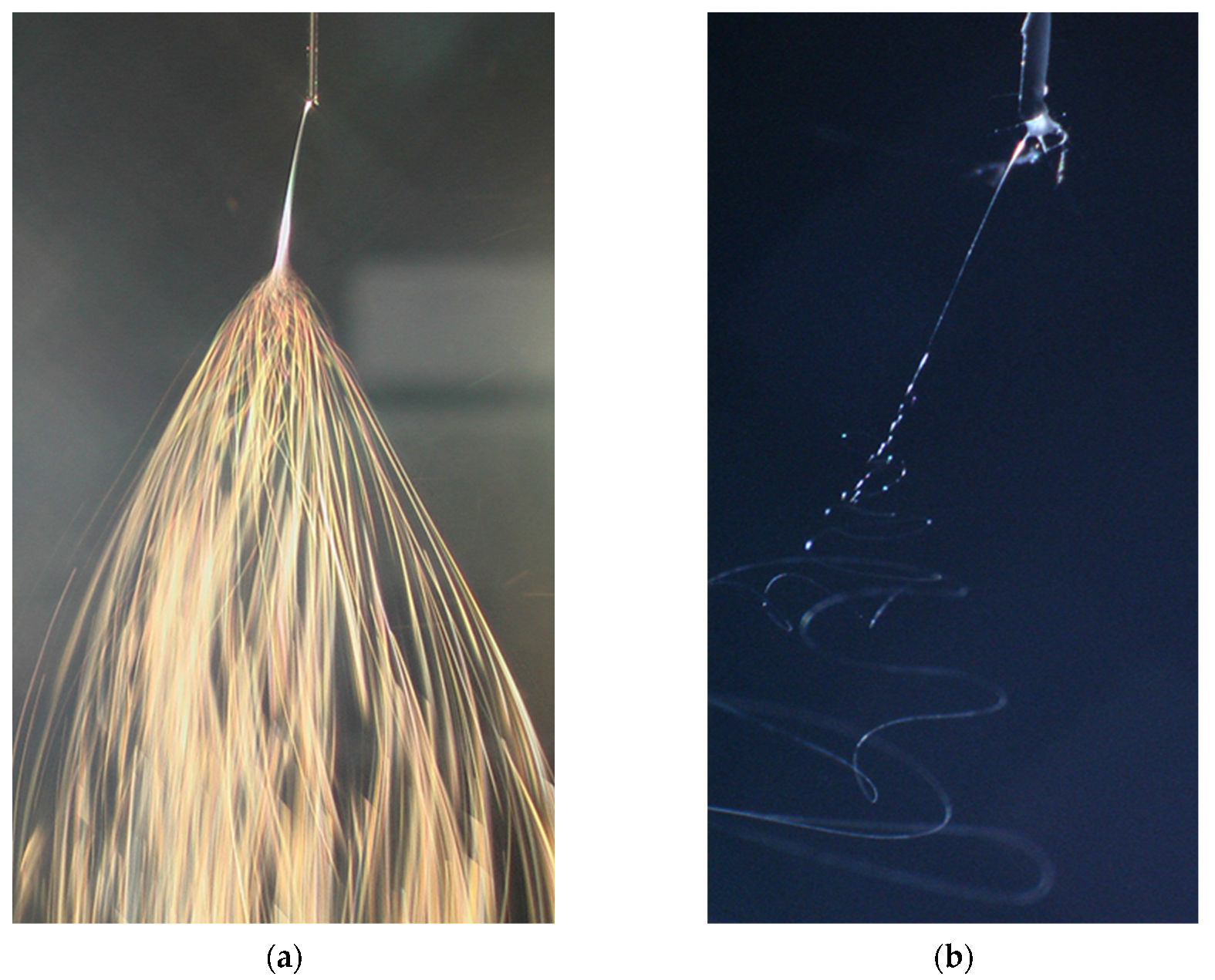 Applsci 15 08728 g002