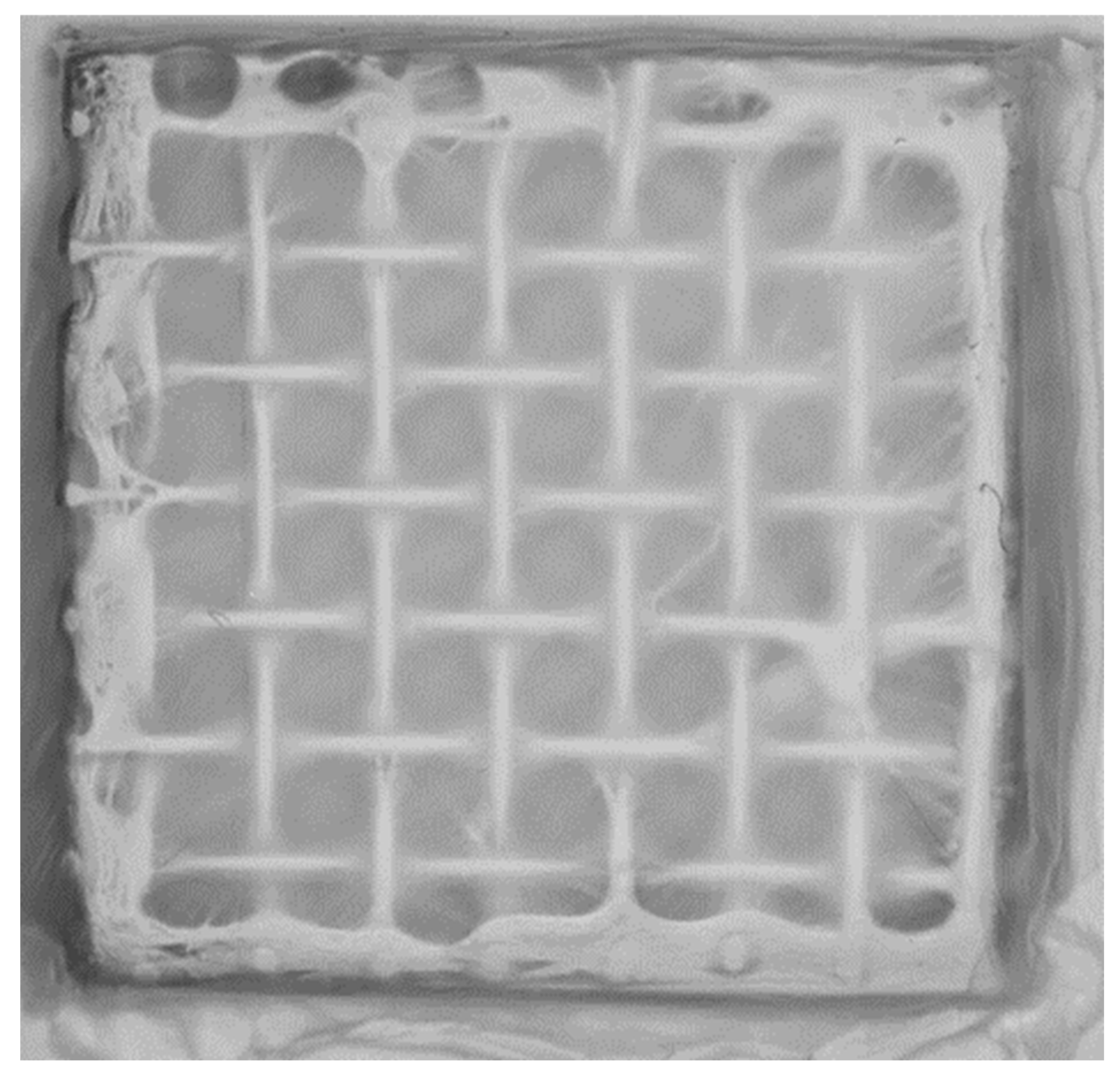 Applsci 15 08728 g003