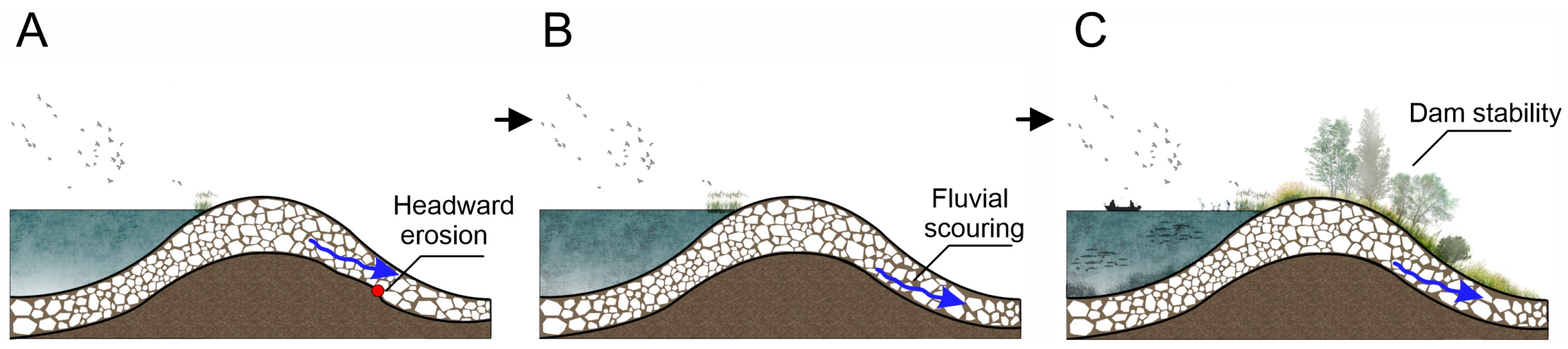 Applsci 15 08745 g020