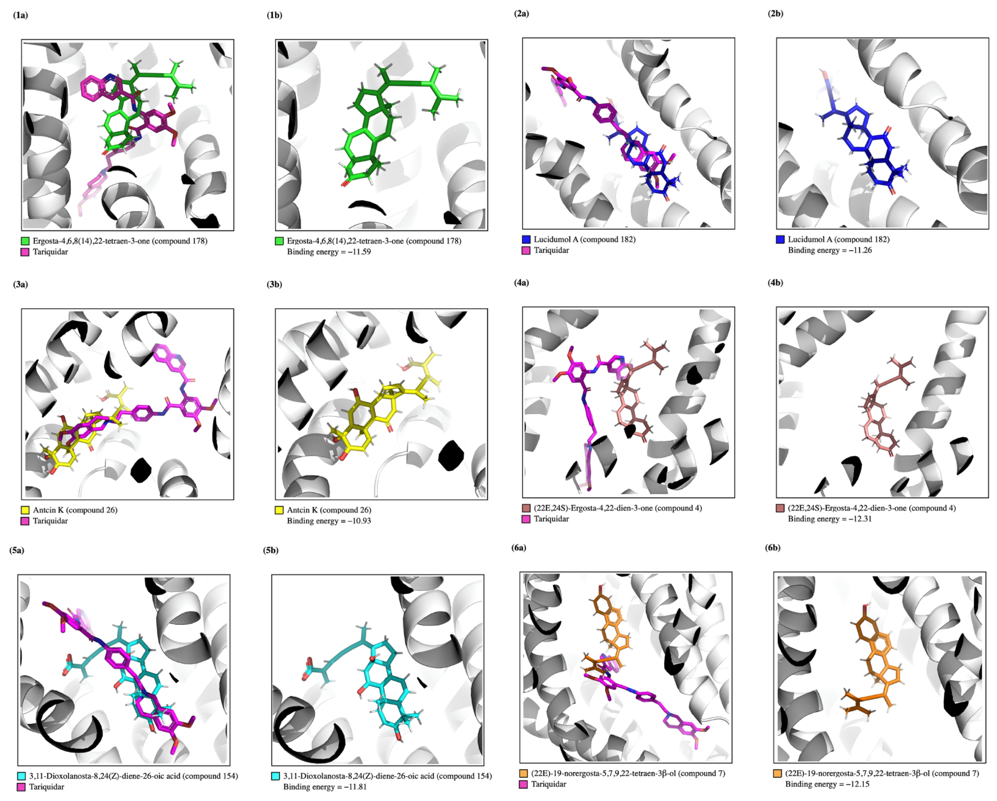 Applsci 15 08772 g005