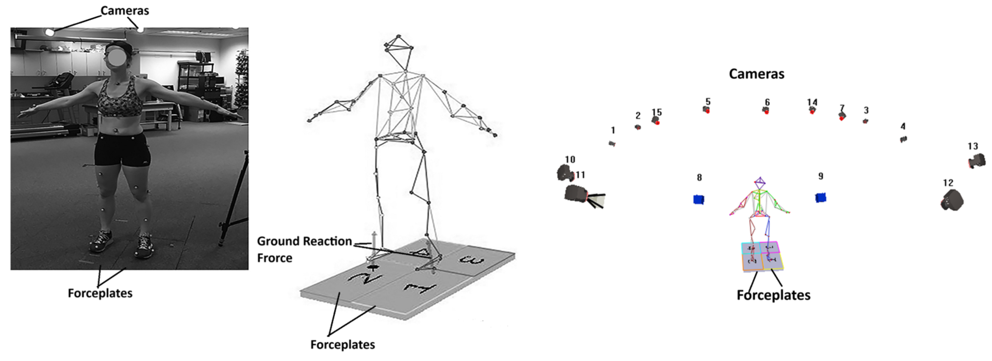 Applsci 15 08784 g001