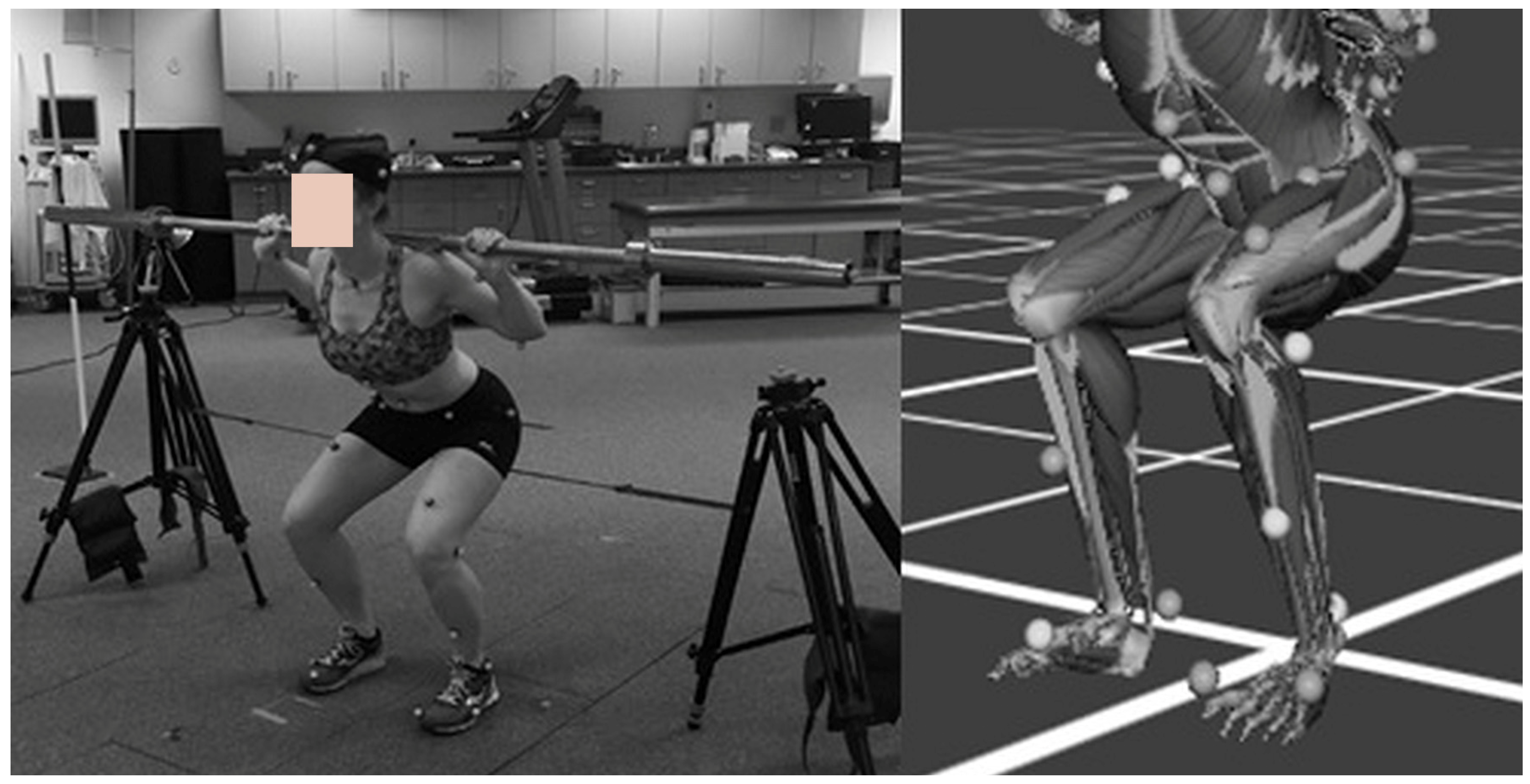 Applsci 15 08784 g002