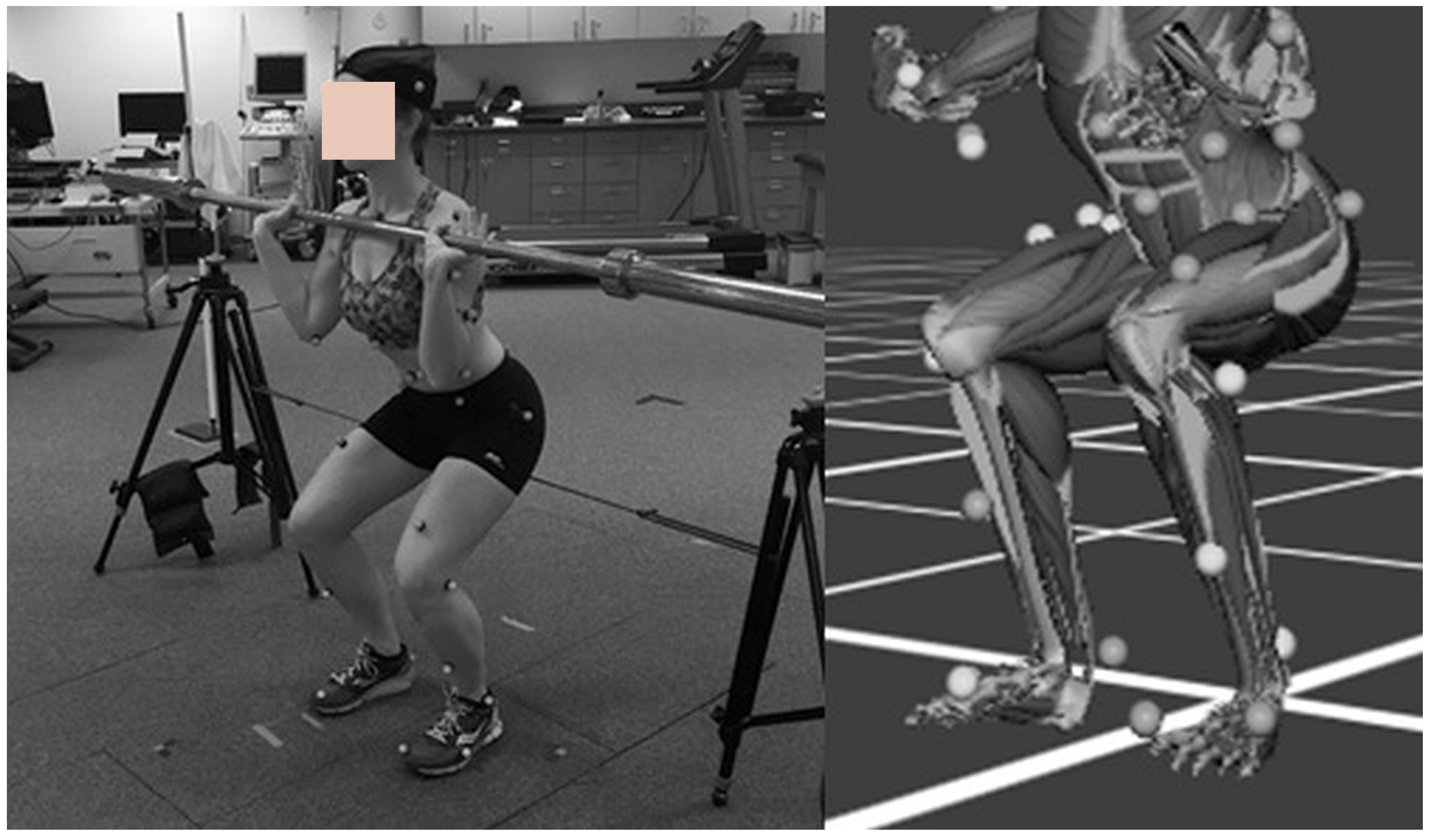 Applsci 15 08784 g003