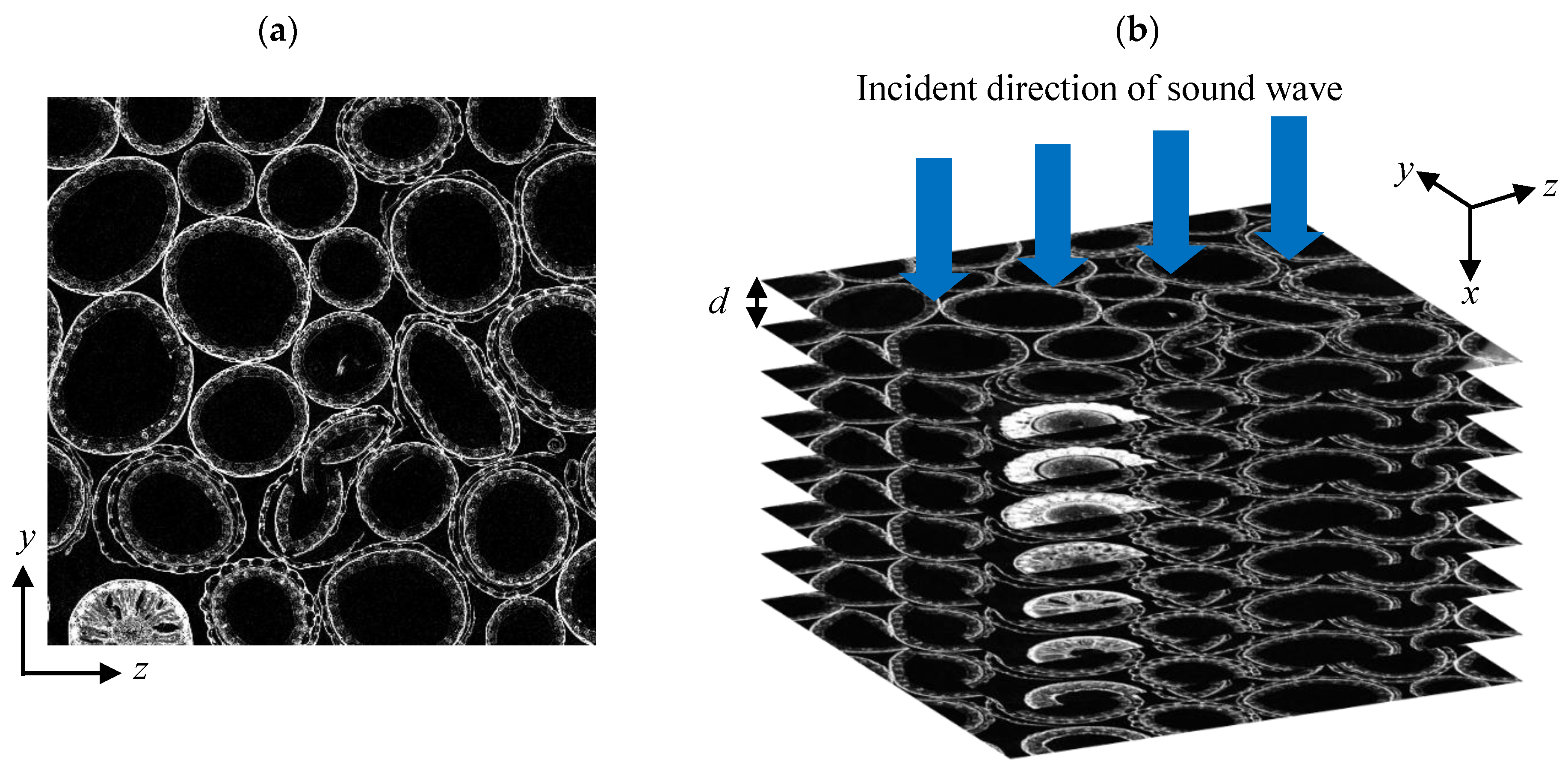 Applsci 15 08803 g003 Applsci 15 08803 g003