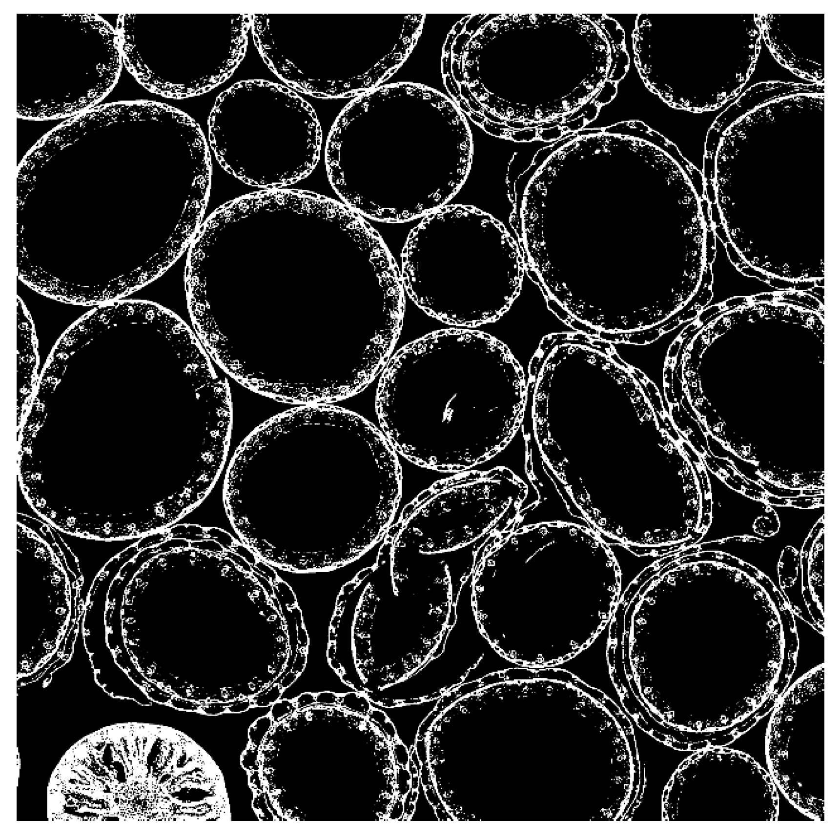 Applsci 15 08803 g005 Applsci 15 08803 g005