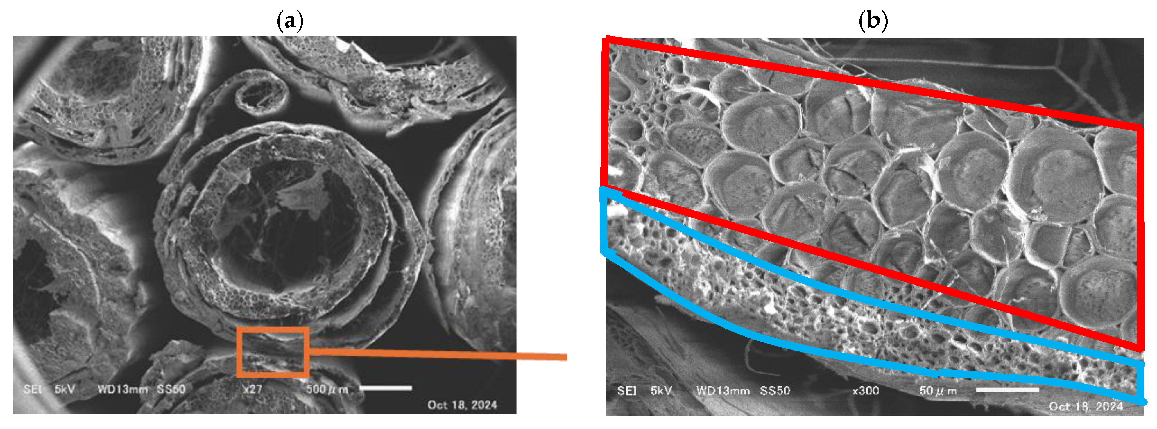 Applsci 15 08803 g014 Applsci 15 08803 g014