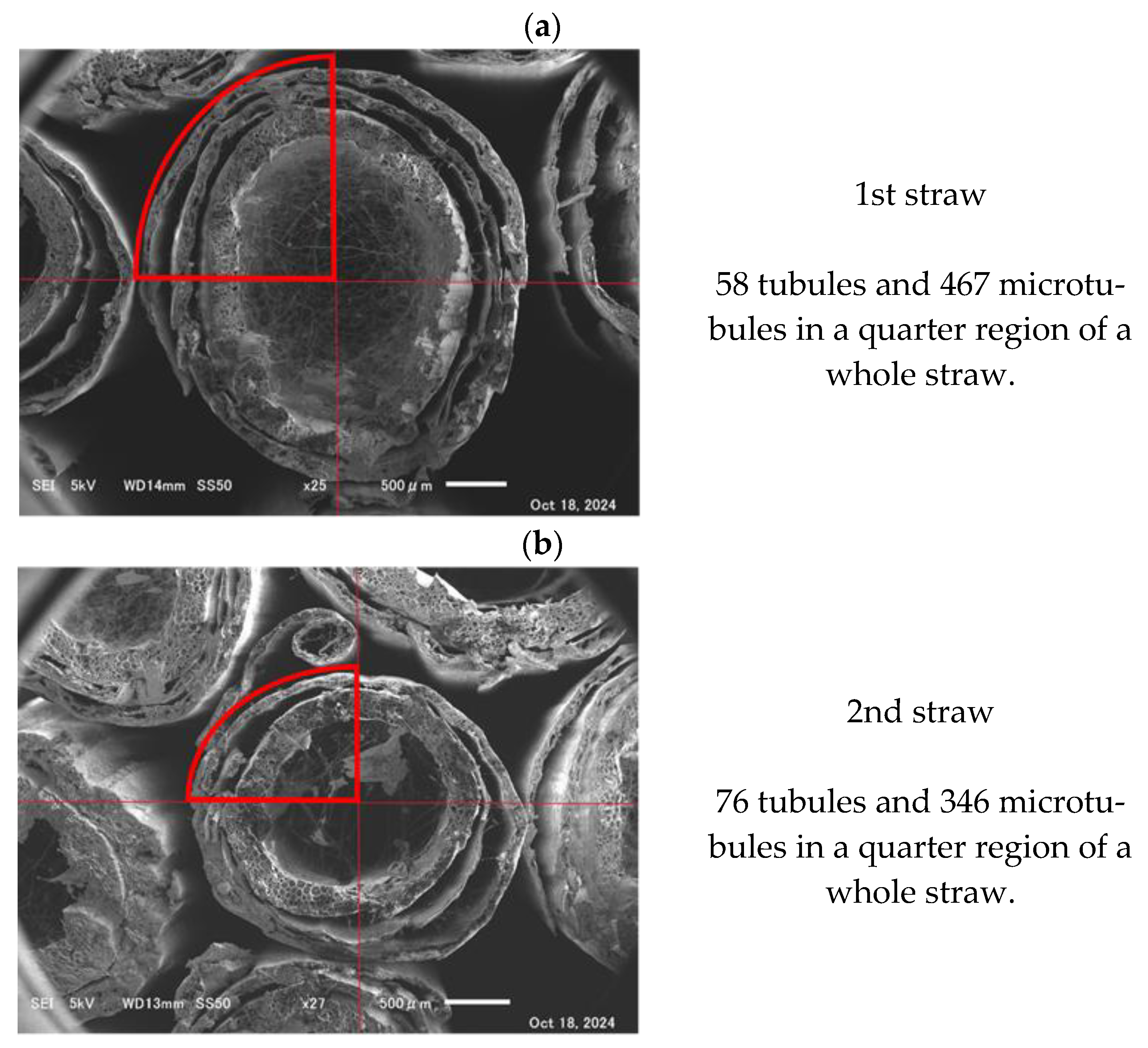 Applsci 15 08803 g015a Applsci 15 08803 g015a