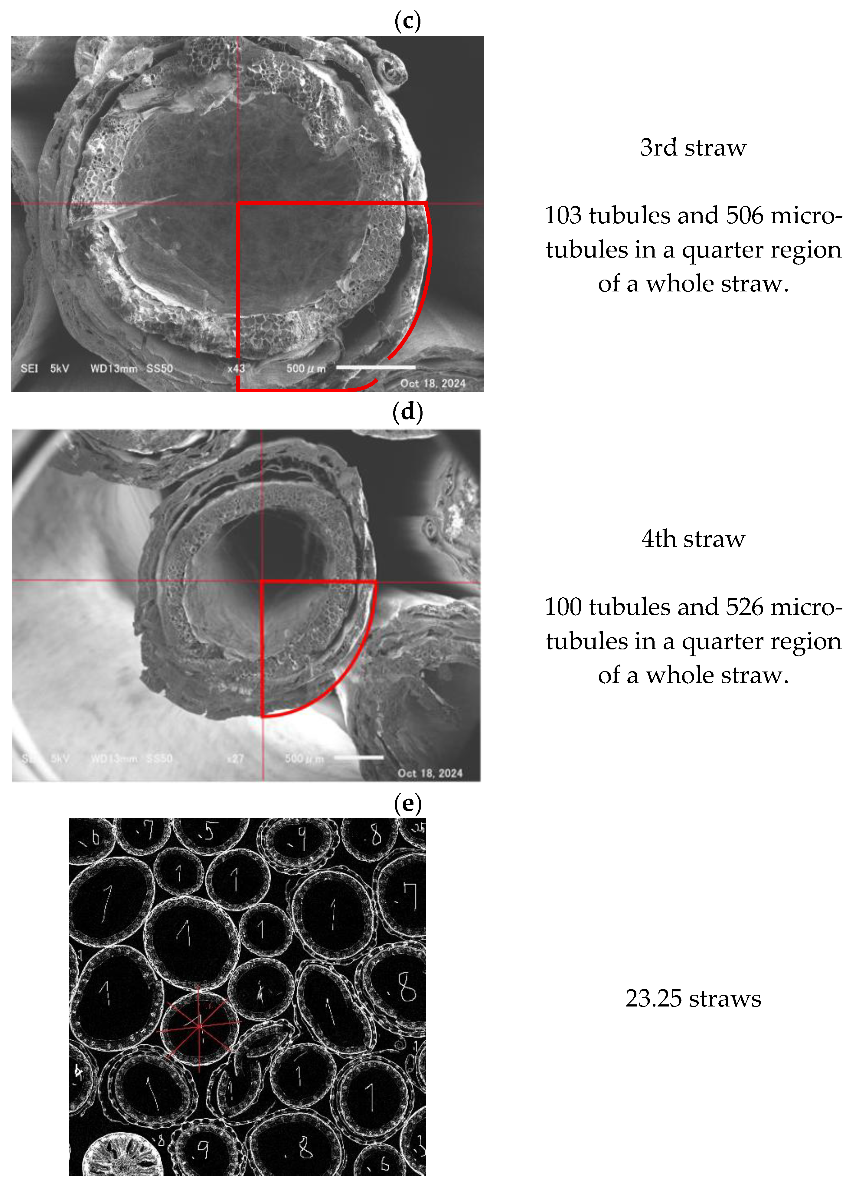 Applsci 15 08803 g015b Applsci 15 08803 g015b
