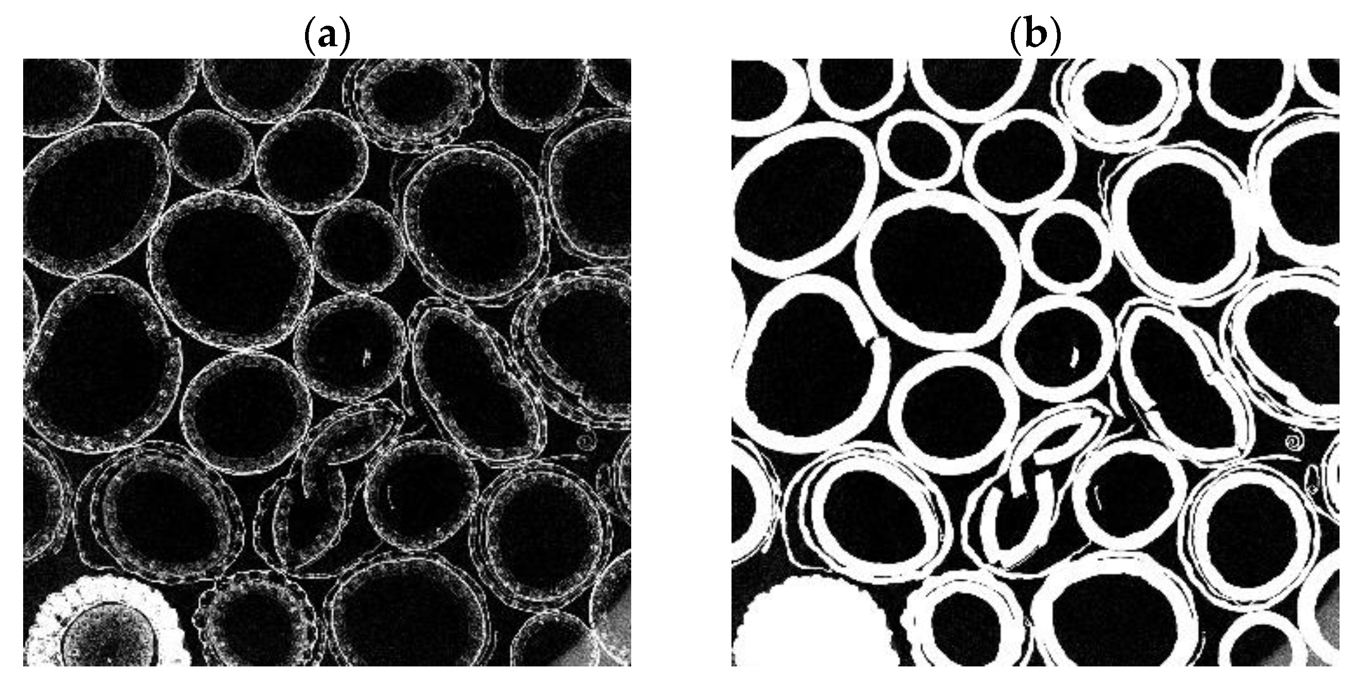 Applsci 15 08803 g017 Applsci 15 08803 g017