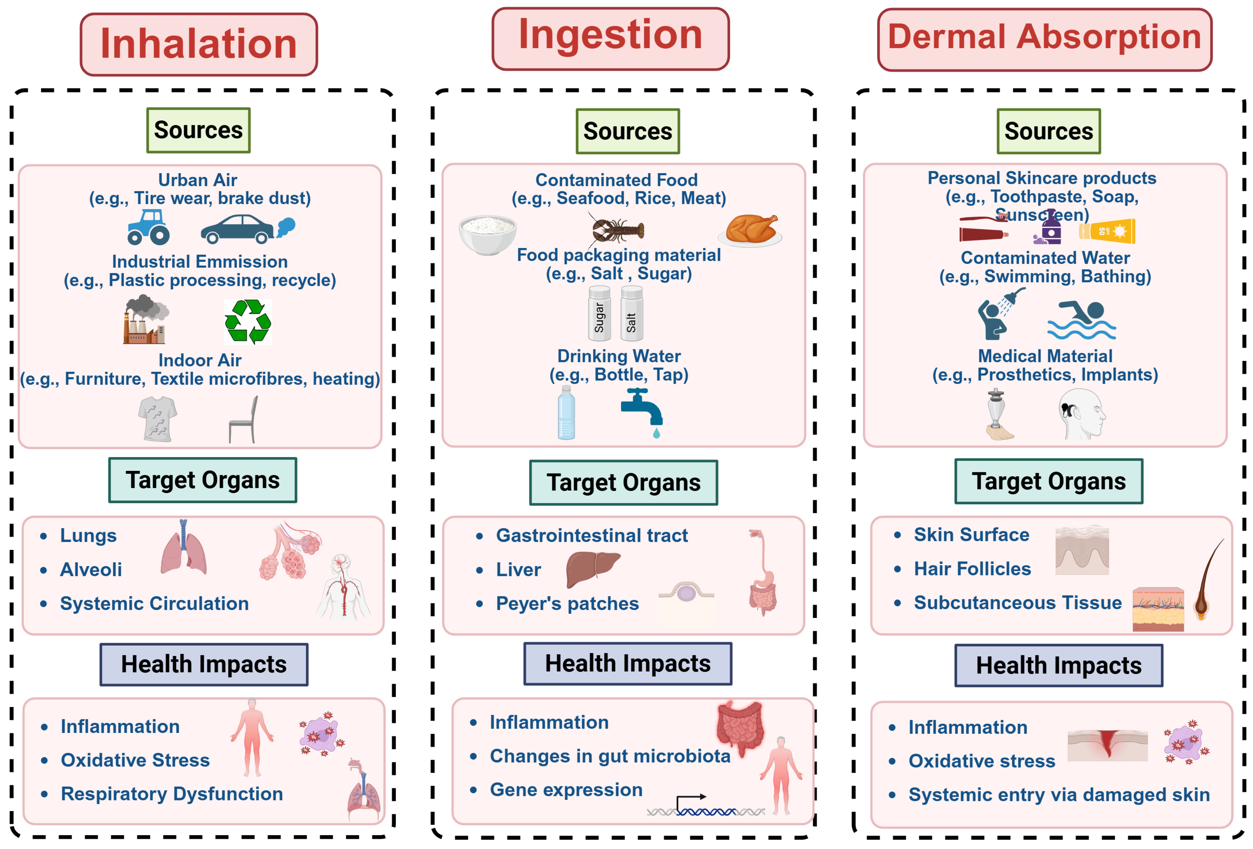 Applsci 15 08813 g002