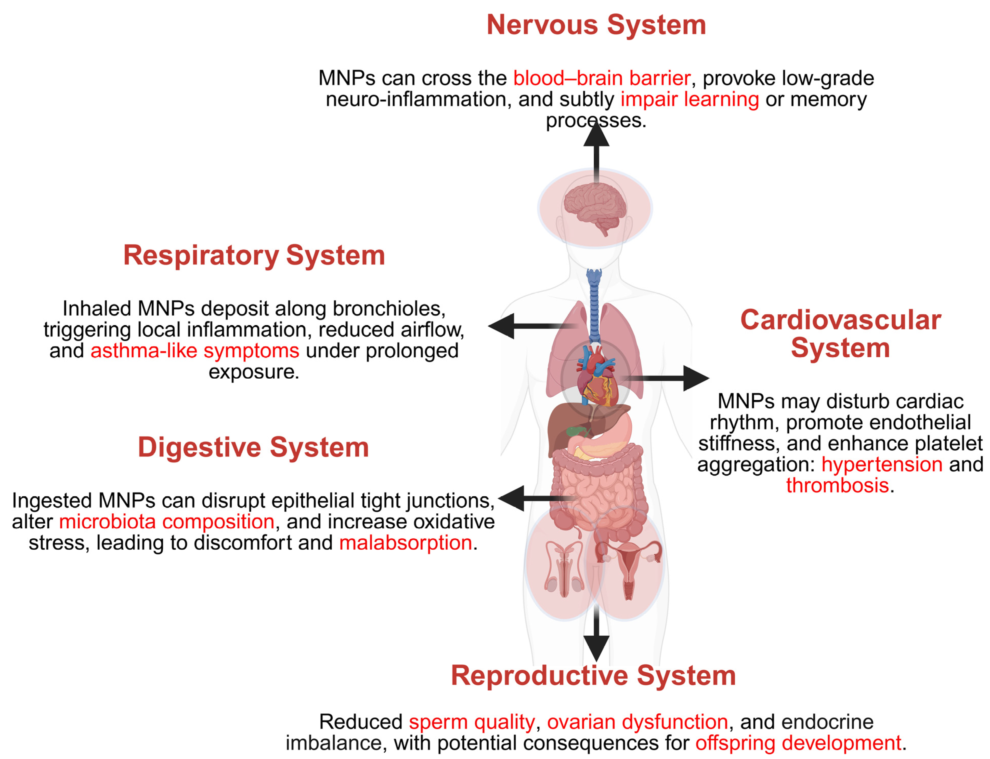 Applsci 15 08813 g004