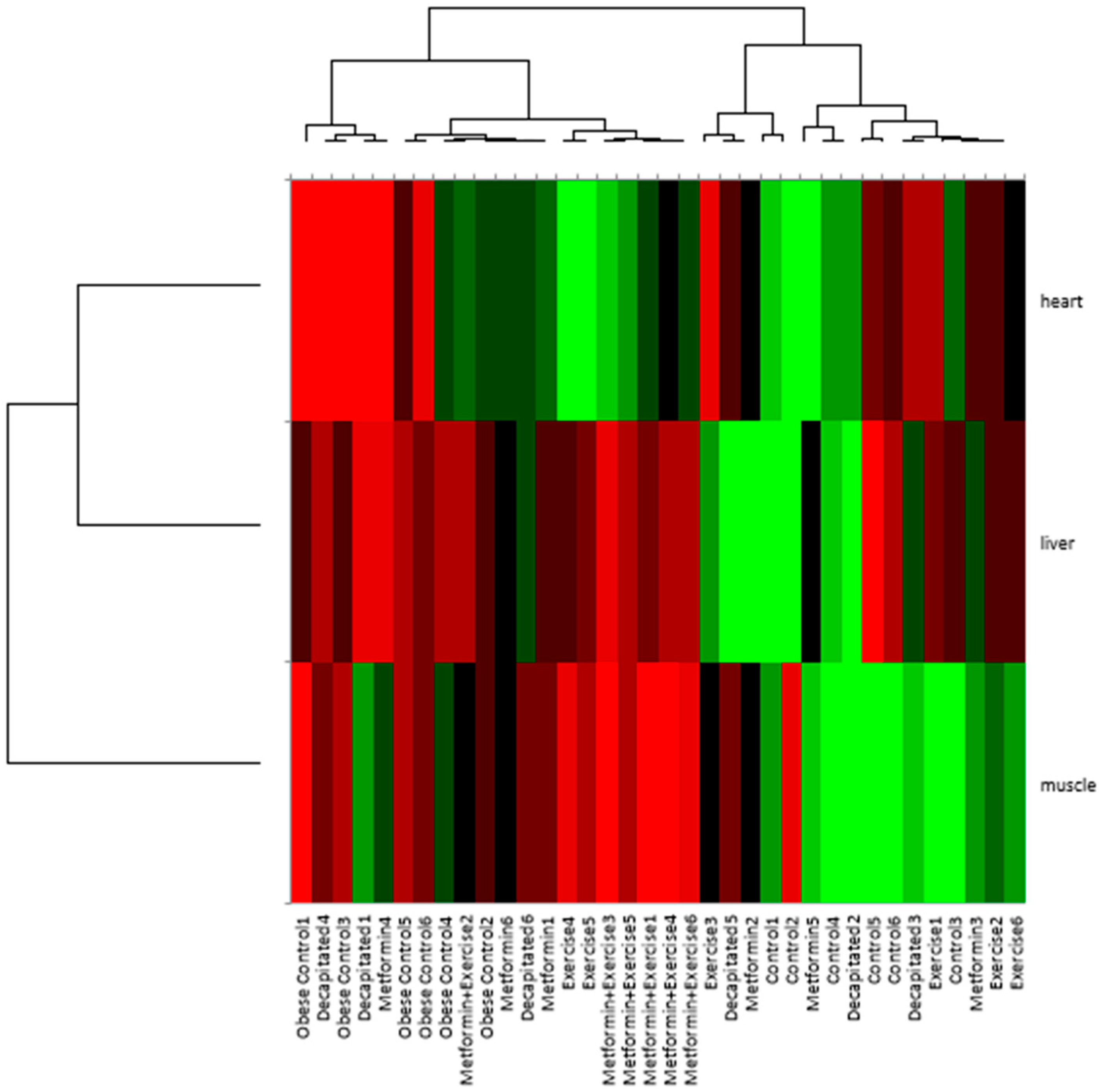 Applsci 15 08828 g002