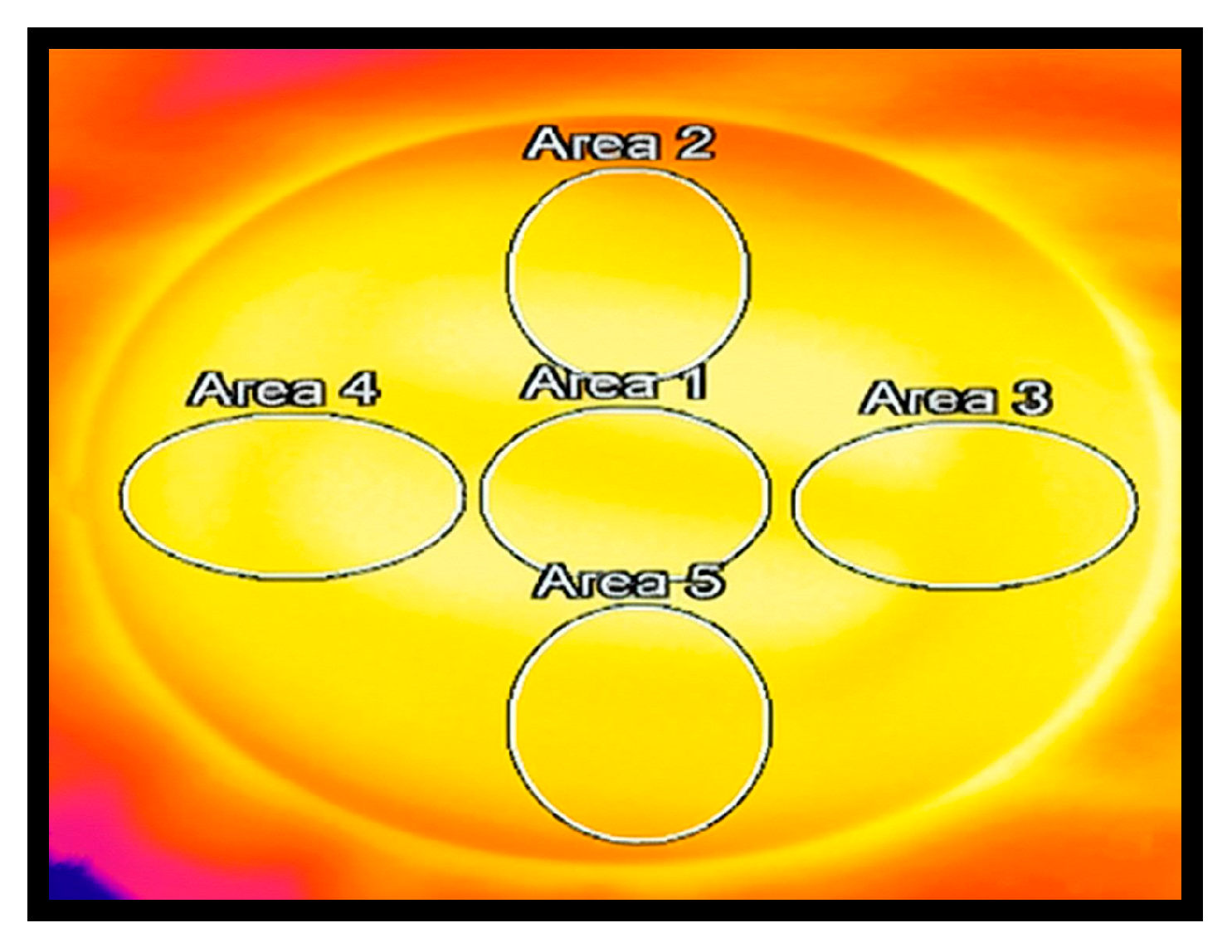 Applsci 15 08831 g002