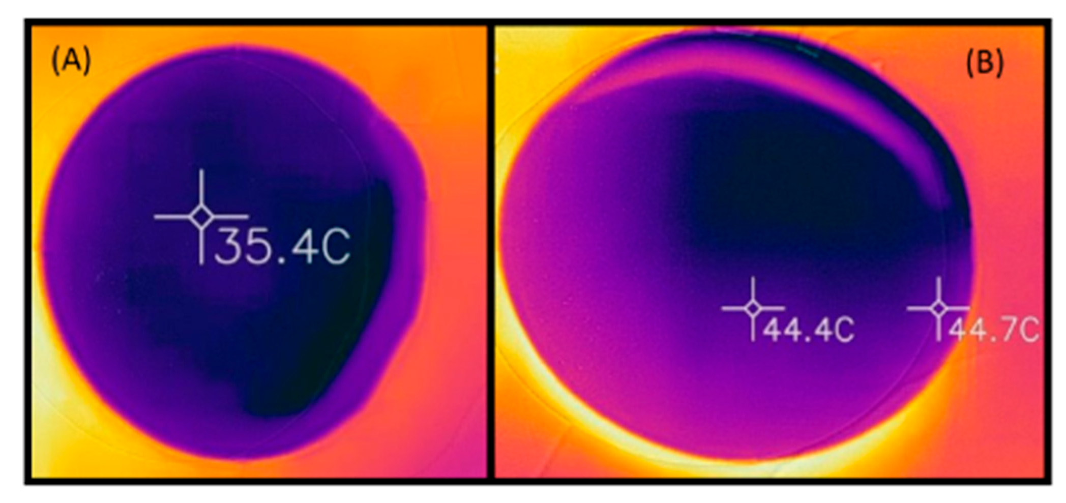 Applsci 15 08831 g005