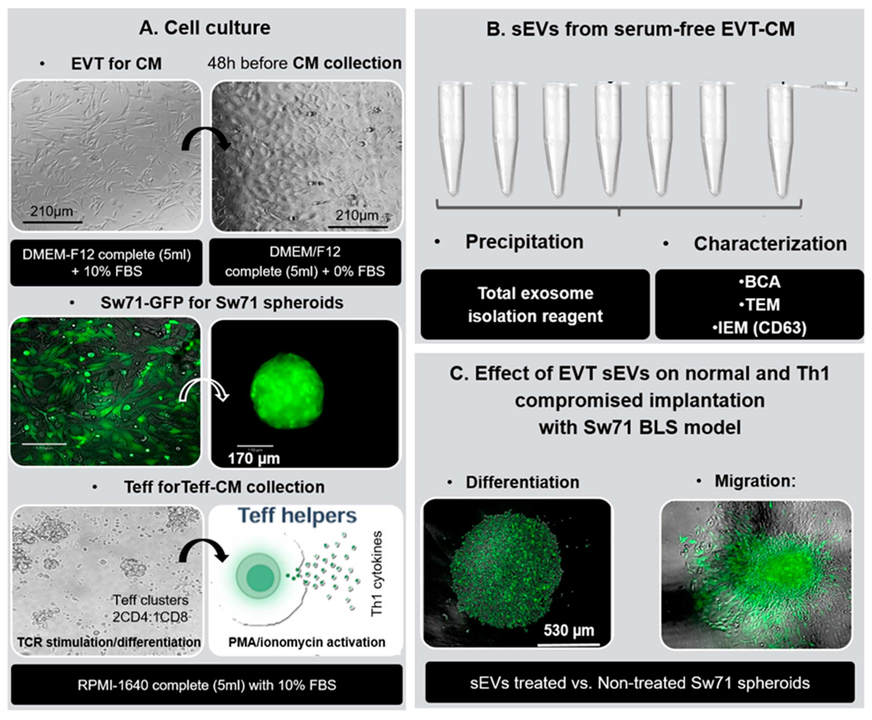 Applsci 15 08866 g001 Applsci 15 08866 g001