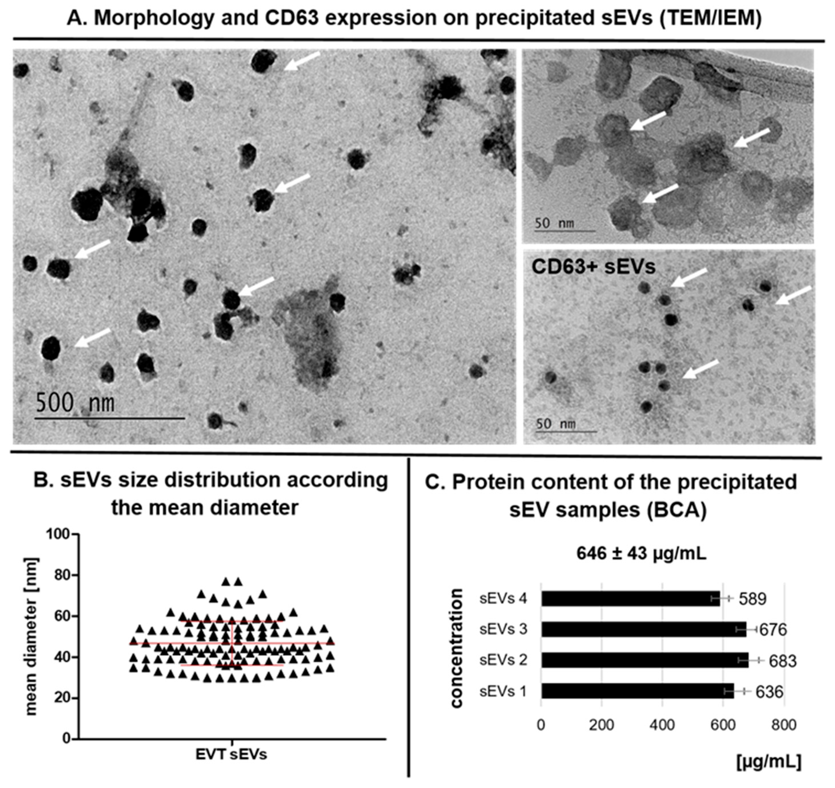 Applsci 15 08866 g003 Applsci 15 08866 g003