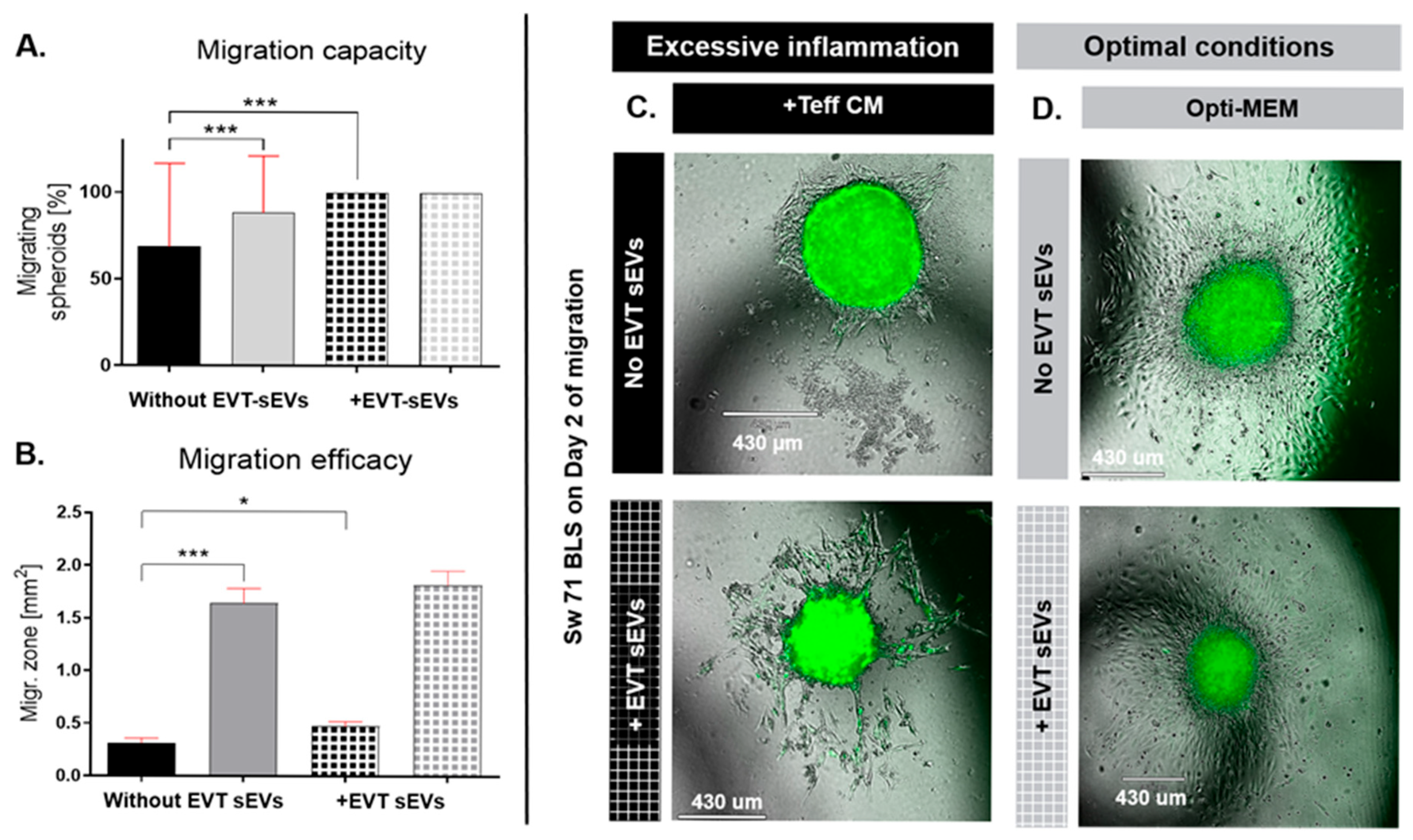 Applsci 15 08866 g005 Applsci 15 08866 g005