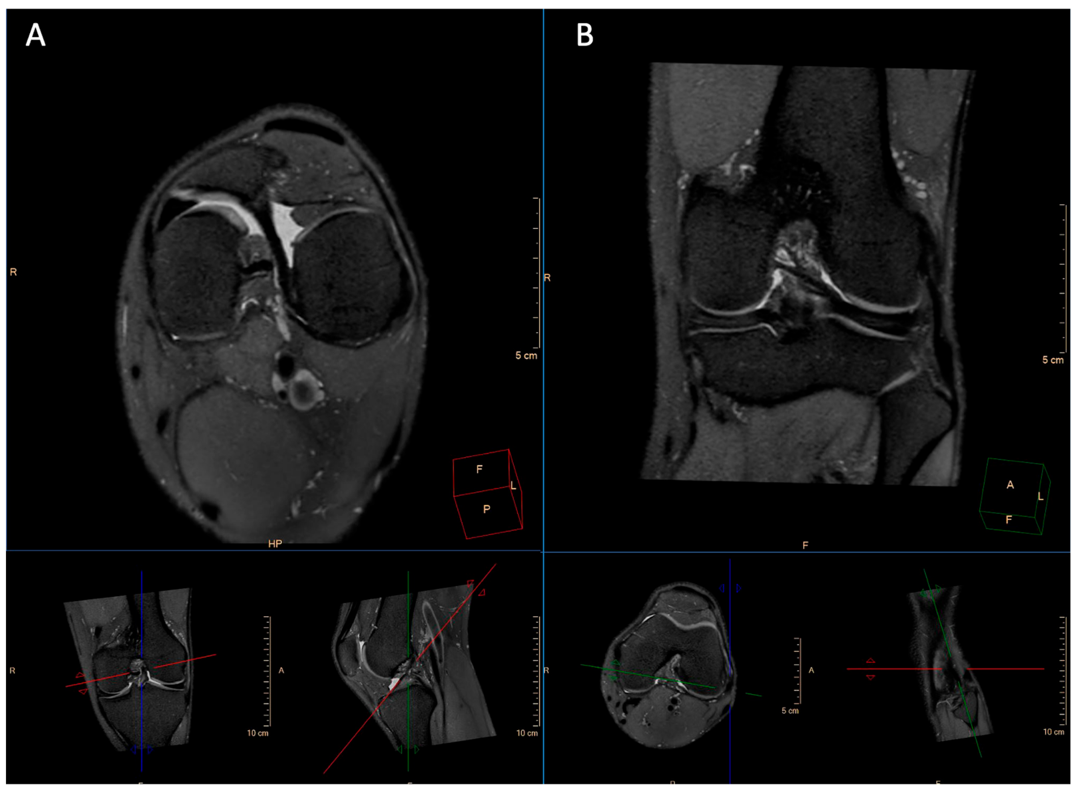 Applsci 15 08870 g002