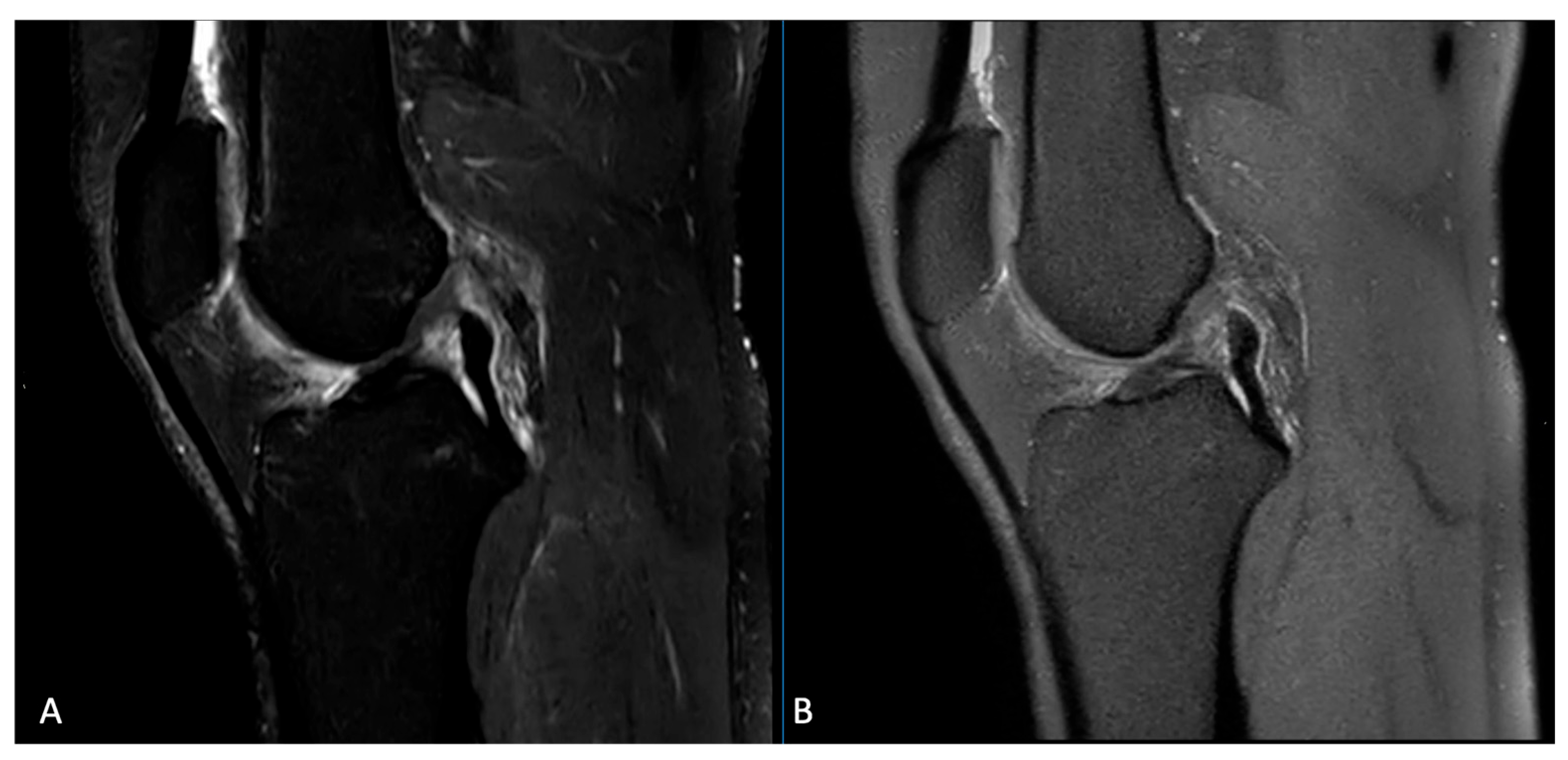 Applsci 15 08870 g003