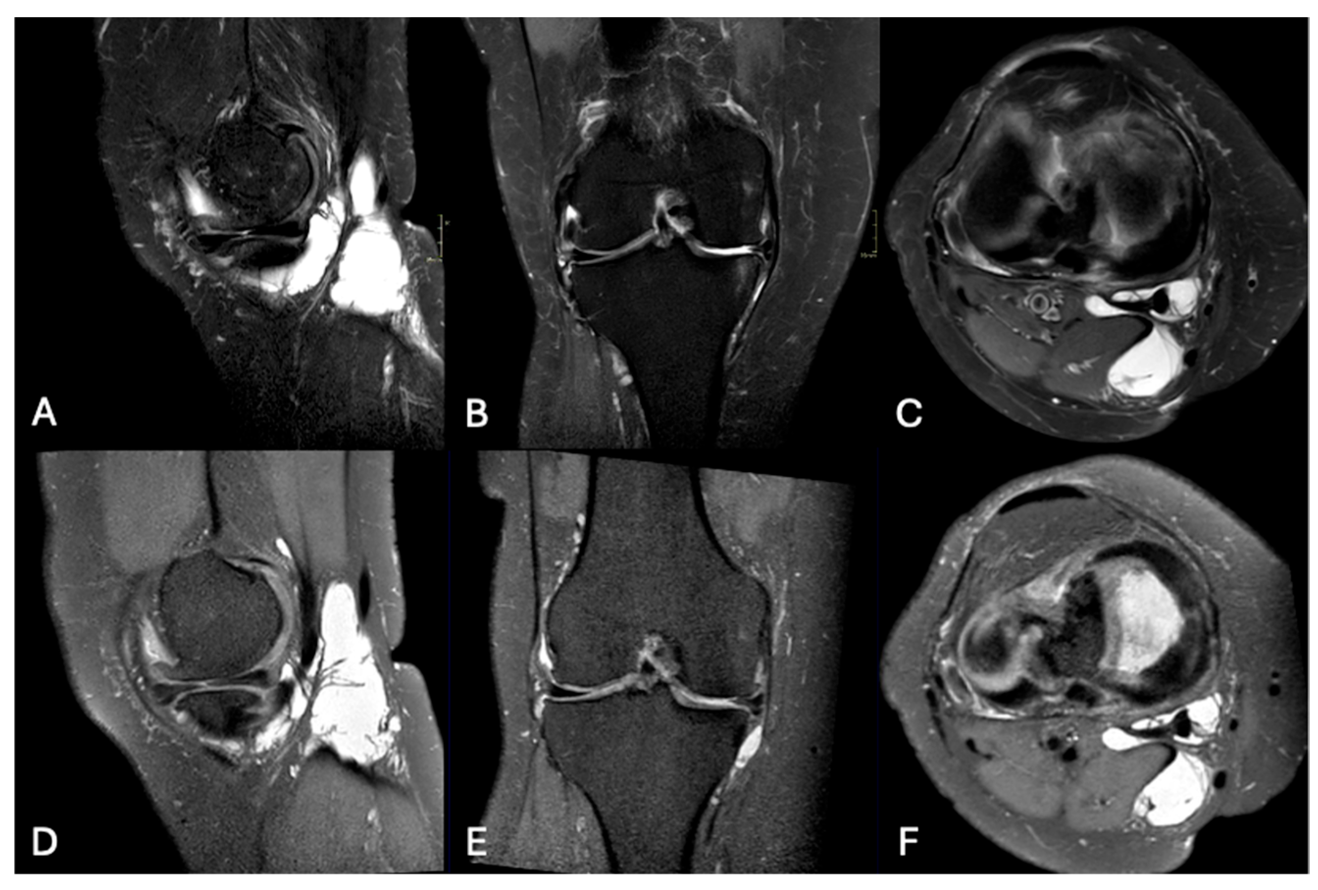 Applsci 15 08870 g004