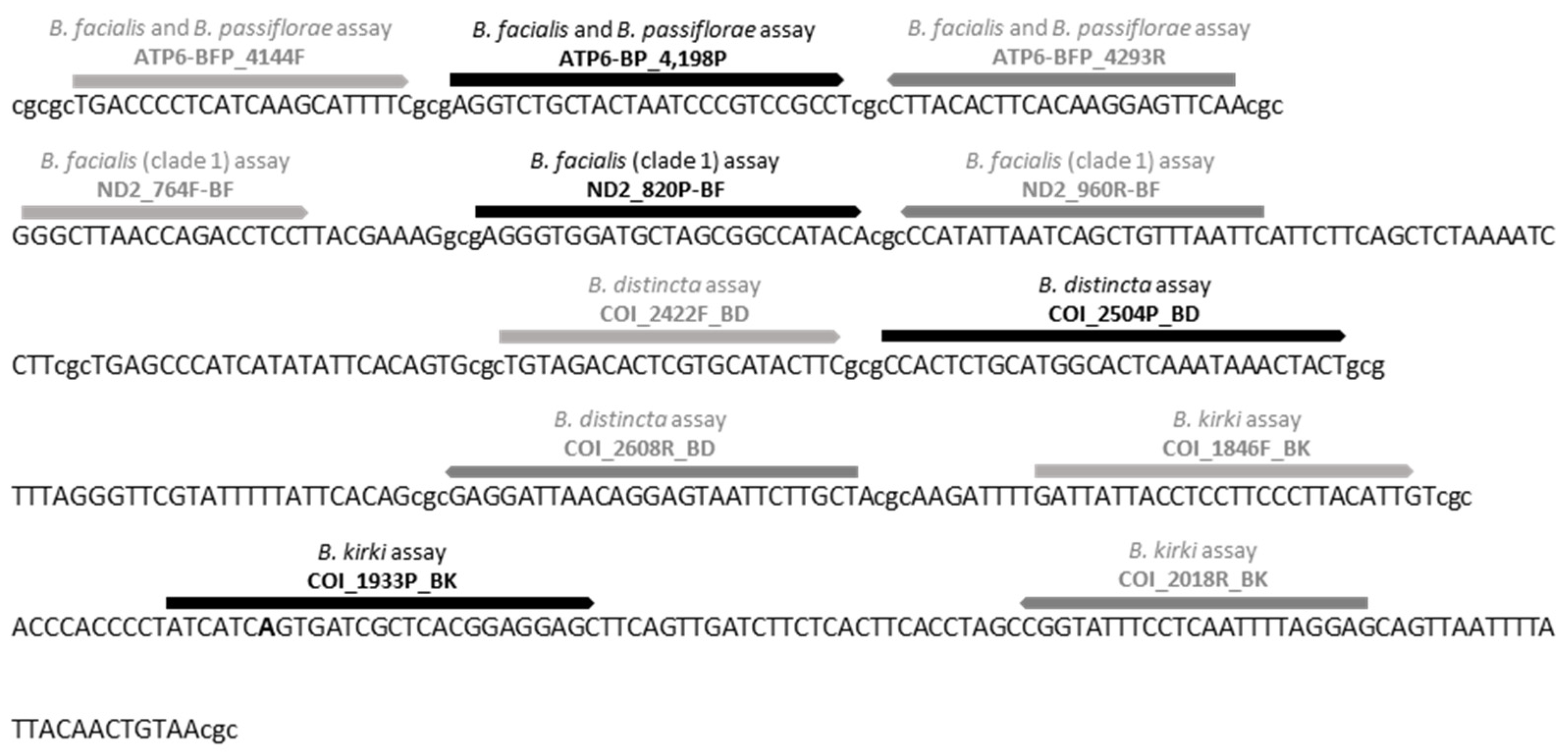 Applsci 15 08889 g001