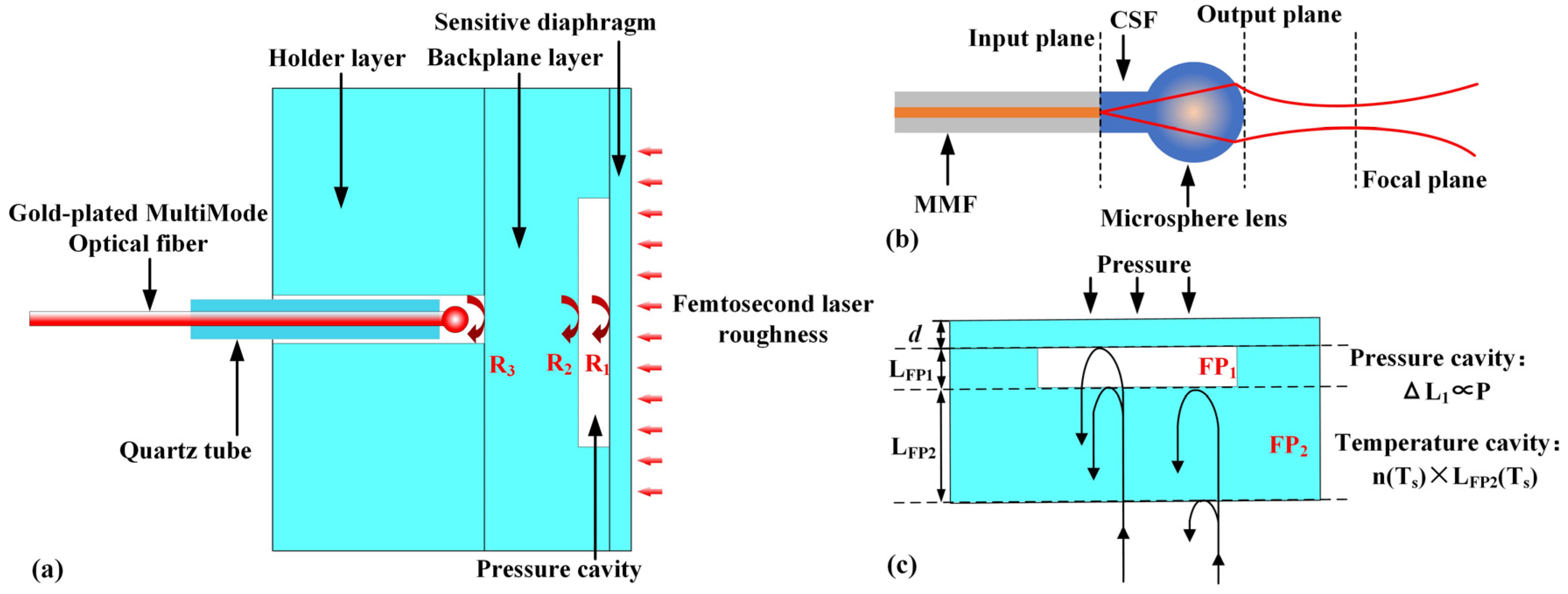 Applsci 15 08891 g001 Applsci 15 08891 g001