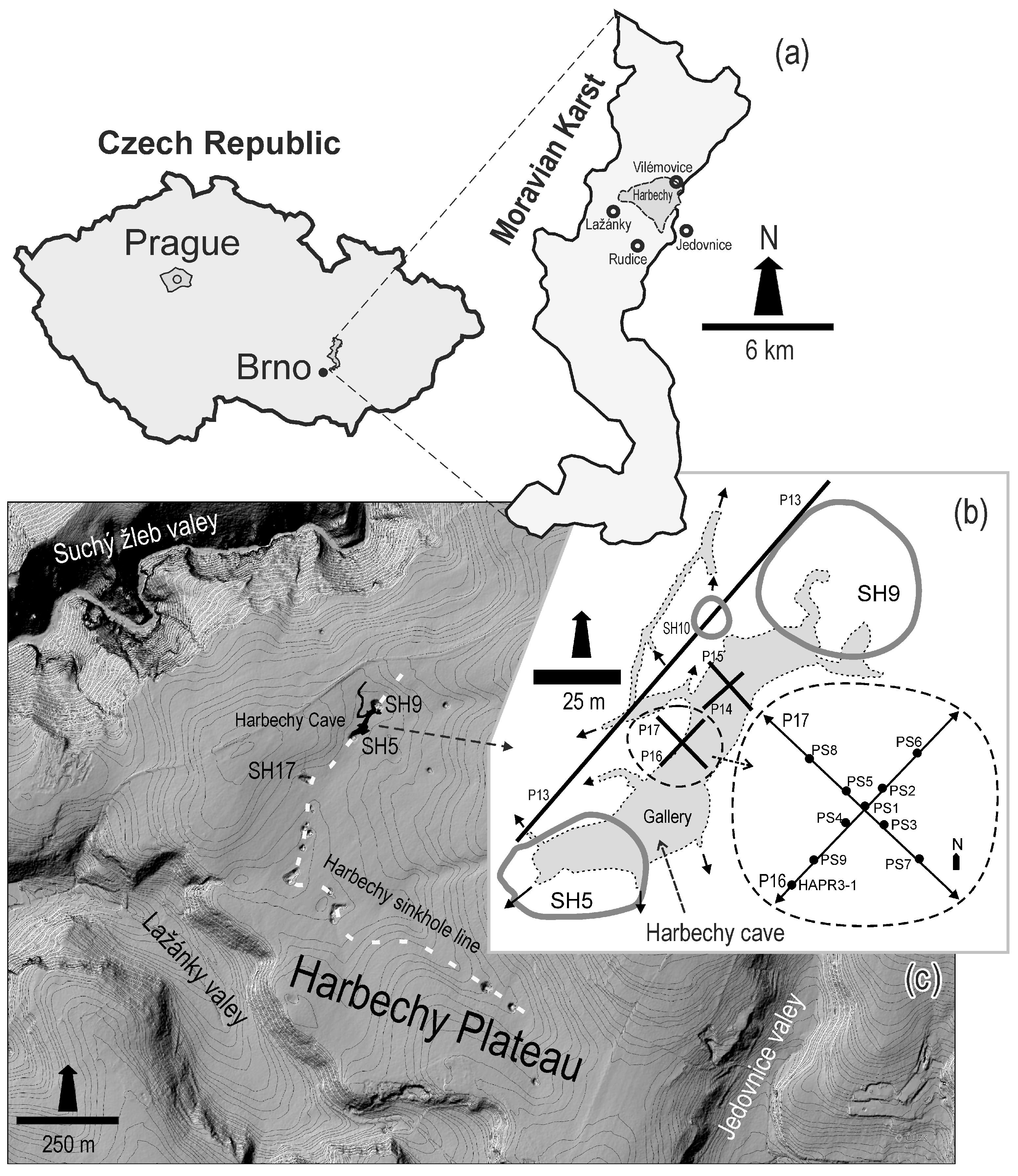 Applsci 15 08907 g001